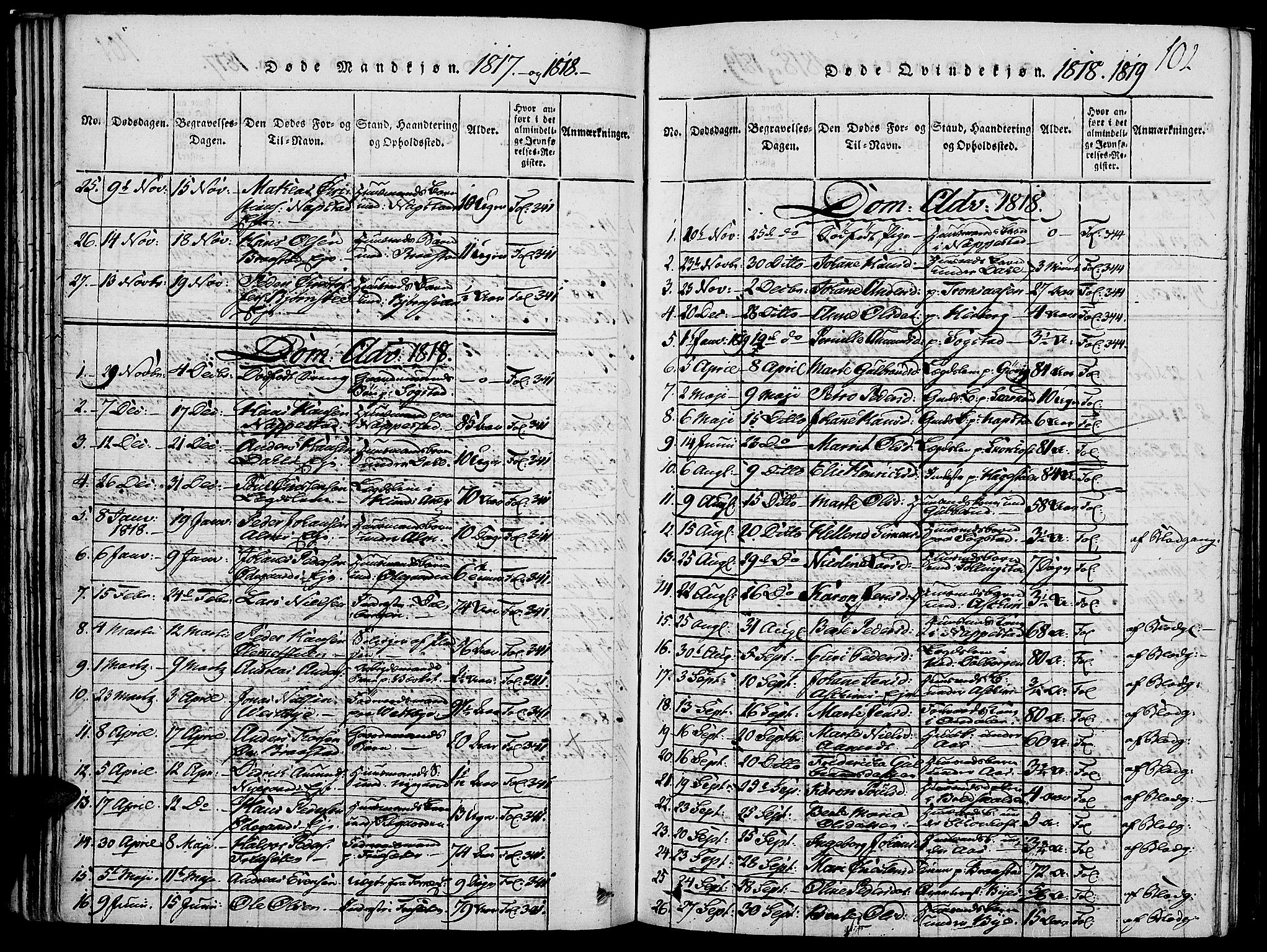 Vardal prestekontor, SAH/PREST-100/H/Ha/Haa/L0004: Parish register (official) no. 4, 1814-1831, p. 102