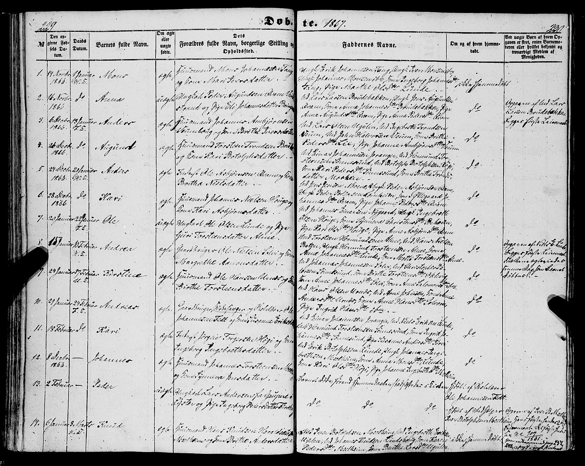 Hafslo sokneprestembete, AV/SAB-A-80301/H/Haa/Haaa/L0009: Parish register (official) no. A 9, 1852-1873, p. 229-230