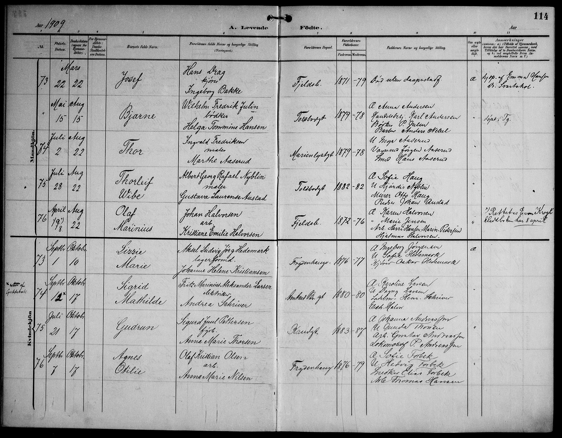 Strømsø kirkebøker, AV/SAKO-A-246/F/Fa/L0026: Parish register (official) no. I 26, 1905-1914, p. 114