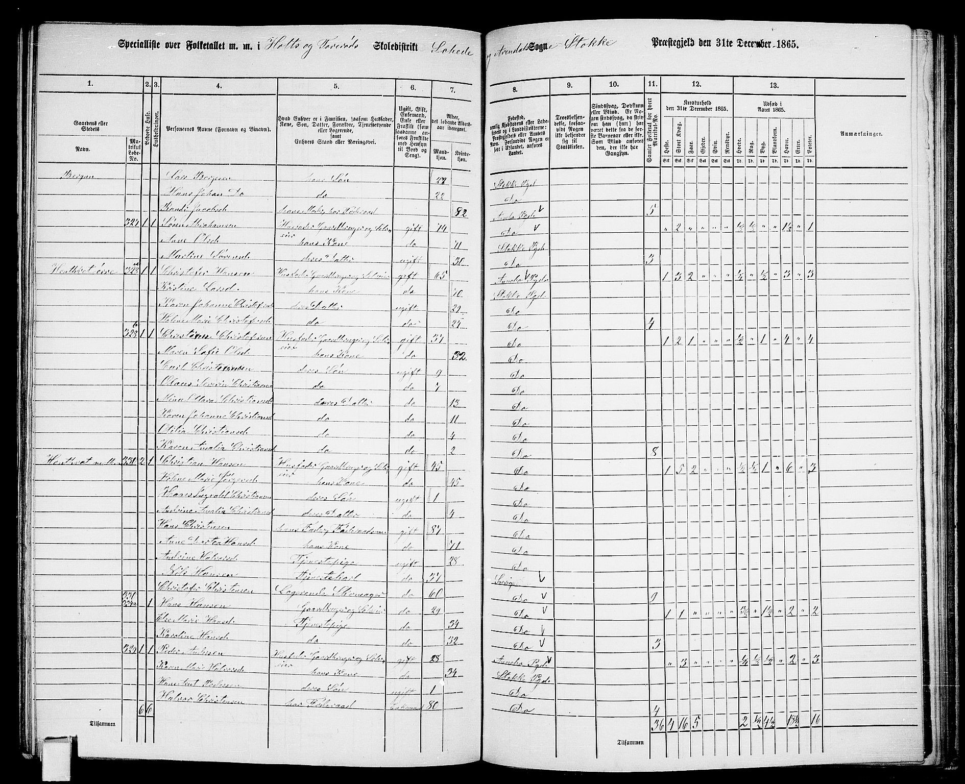 RA, 1865 census for Stokke, 1865, p. 162