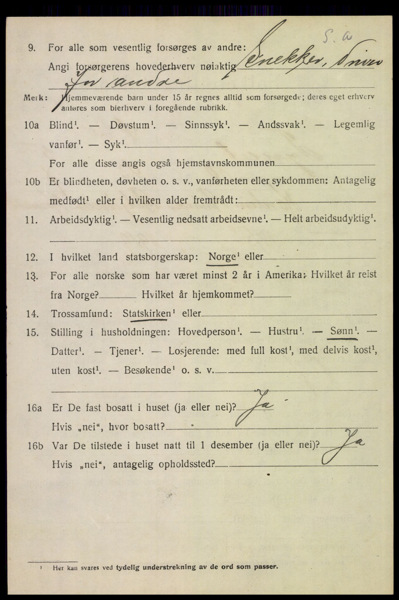 SAH, 1920 census for Tynset, 1920, p. 5463