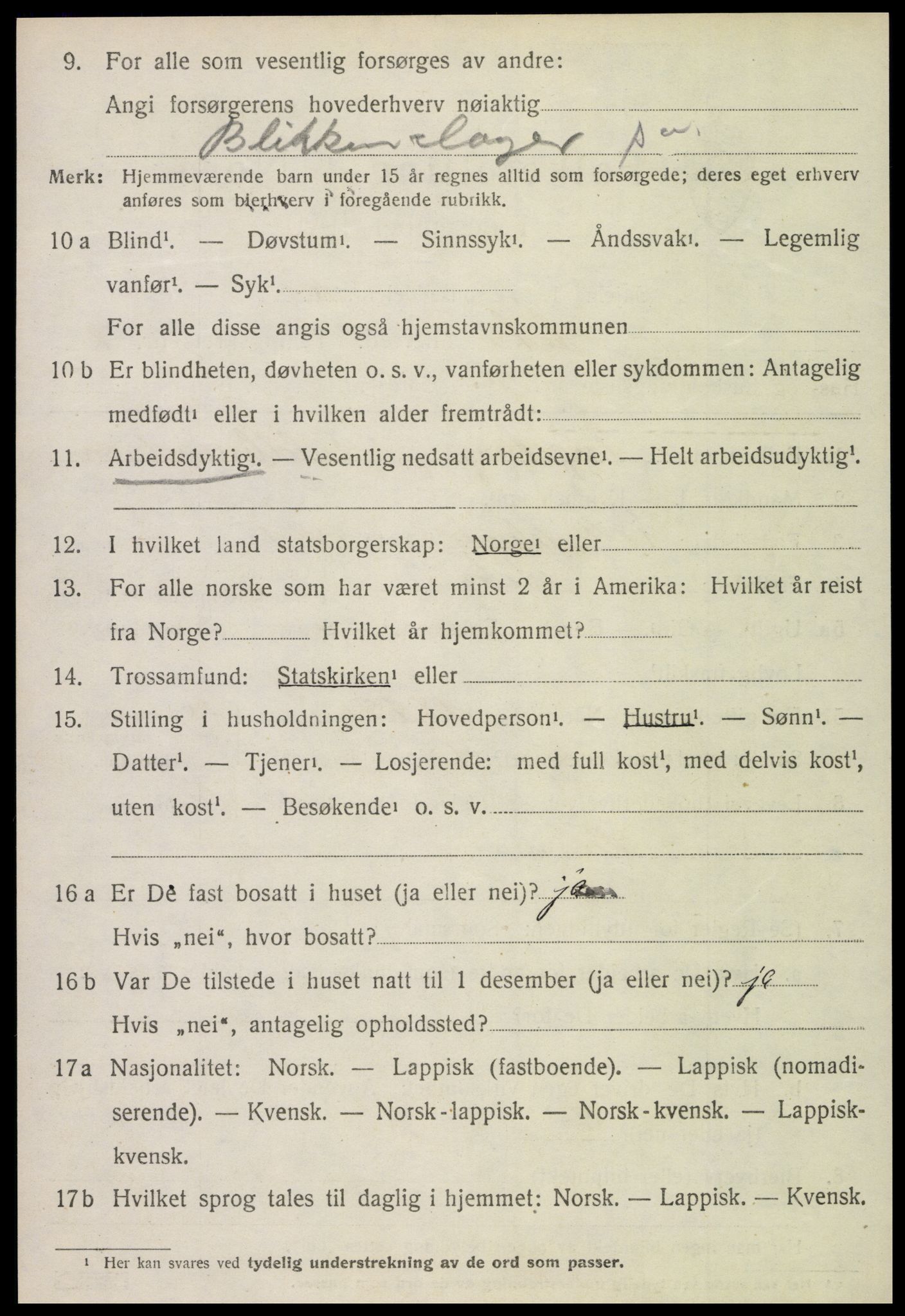 SAT, 1920 census for Leka, 1920, p. 978