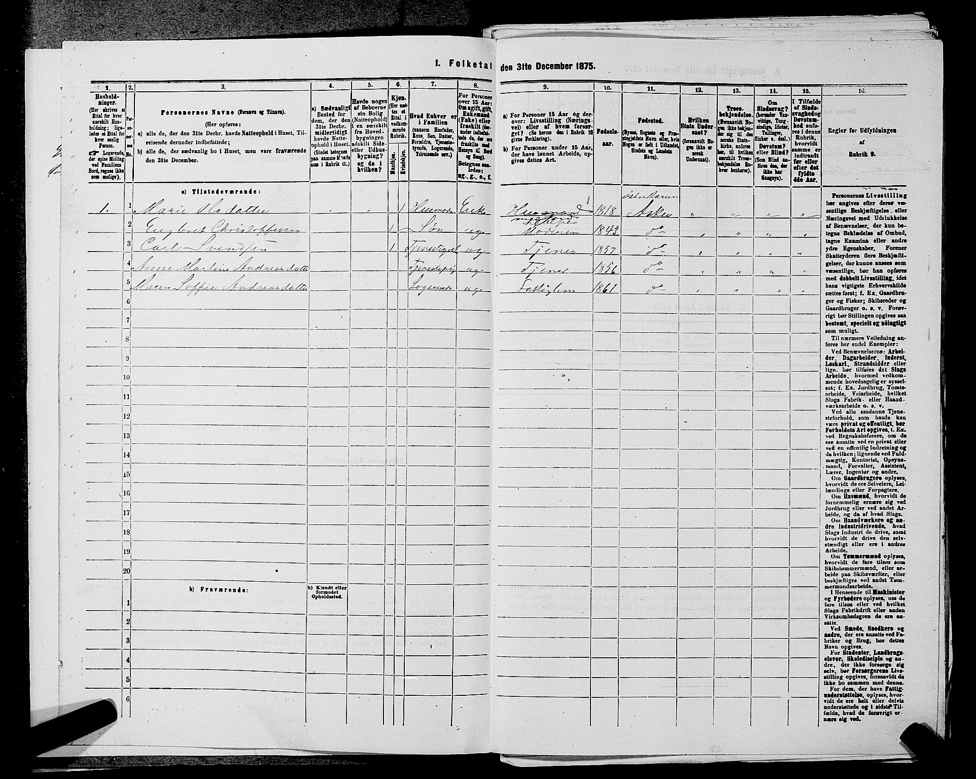 RA, 1875 census for 0220P Asker, 1875, p. 1916