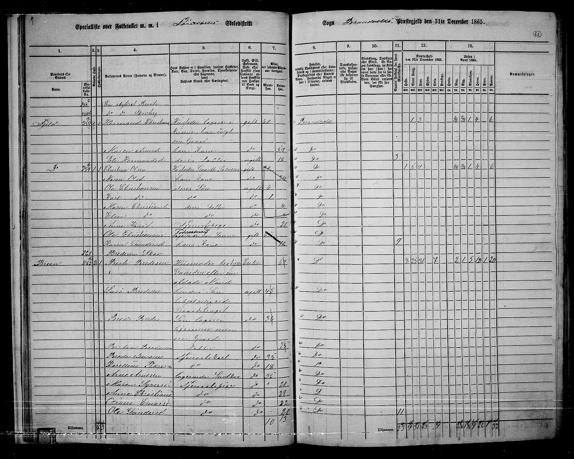 RA, 1865 census for Brandval, 1865, p. 21