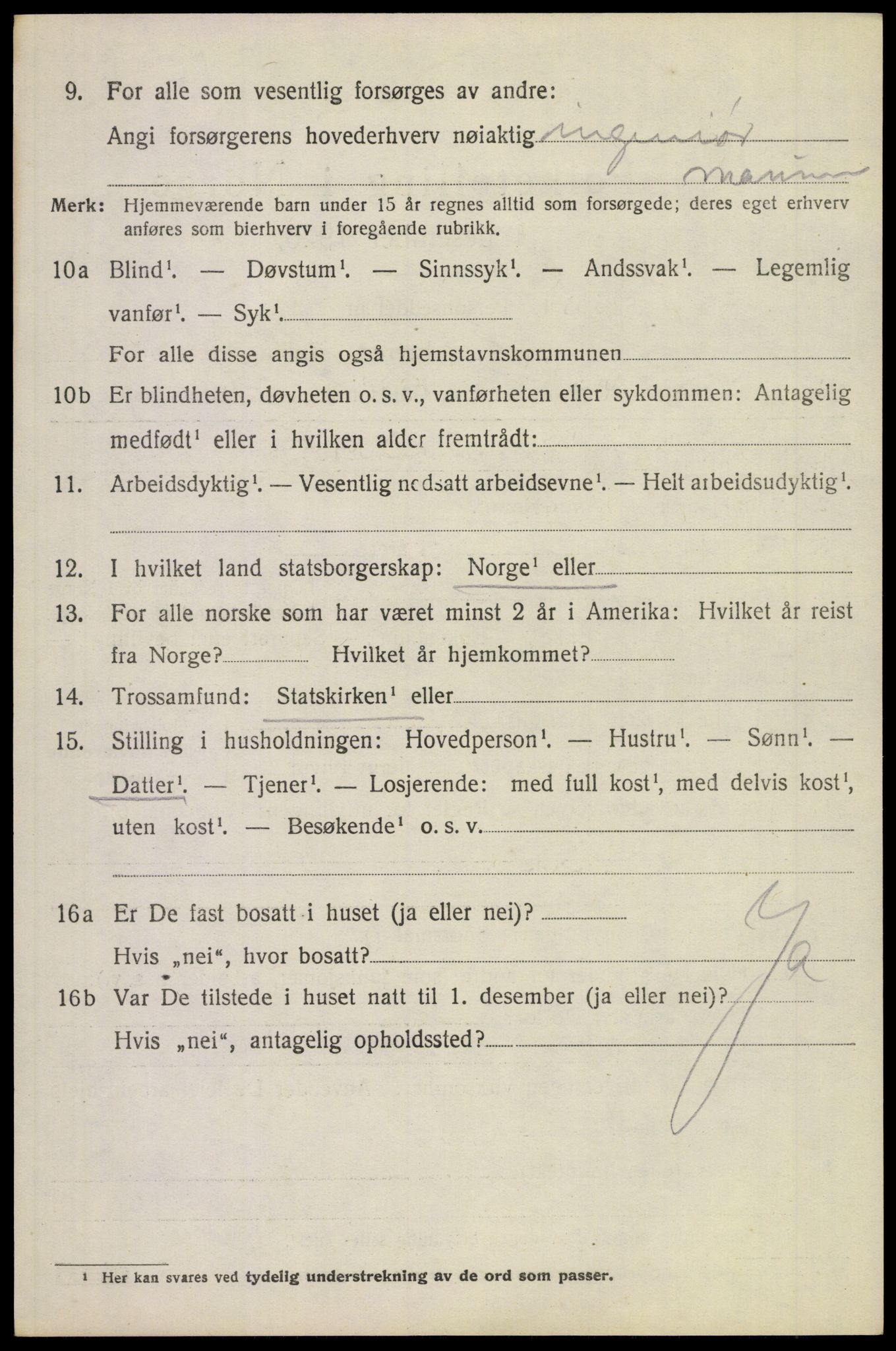 SAKO, 1920 census for Borre, 1920, p. 4925