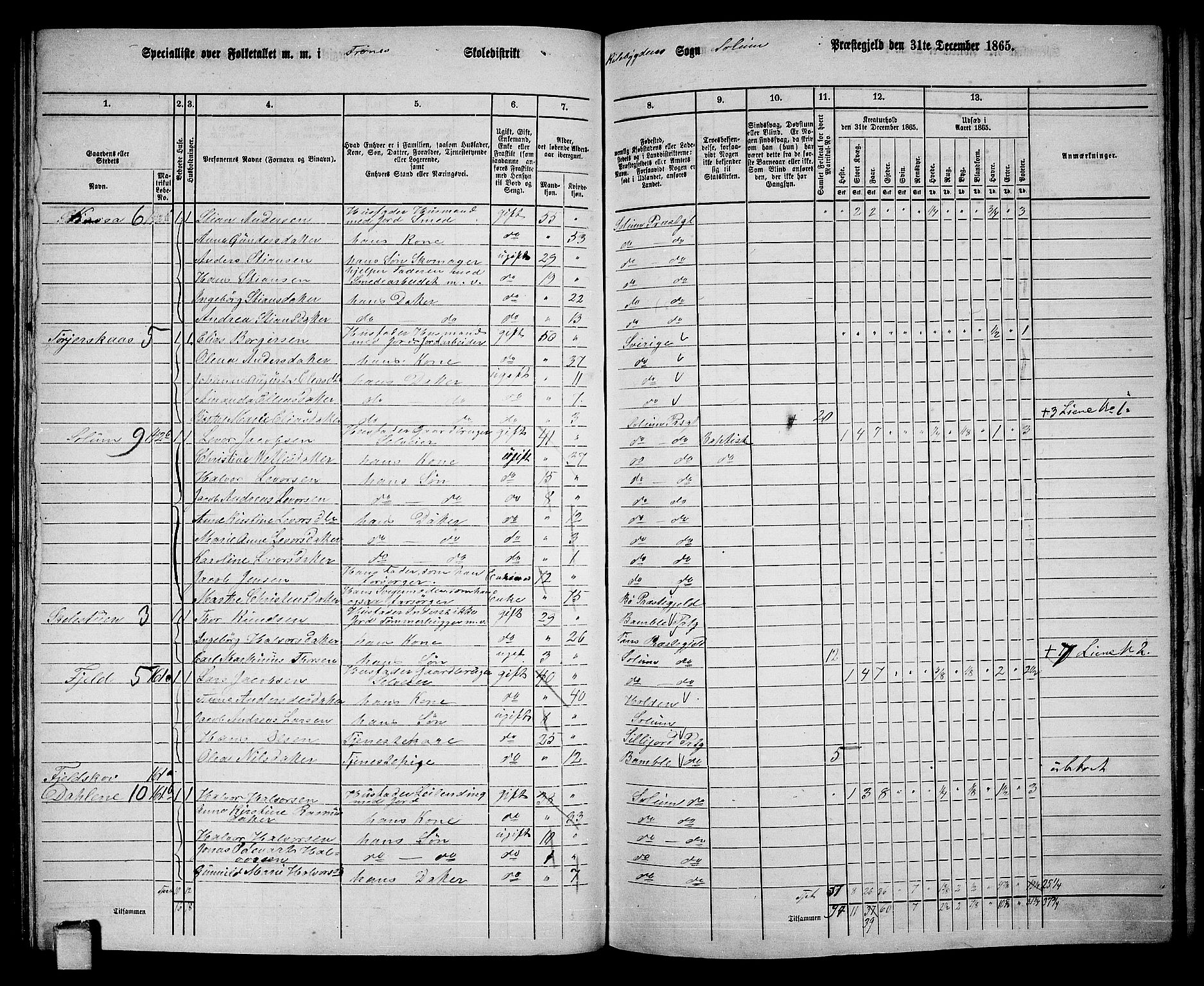 RA, 1865 census for Solum, 1865, p. 139