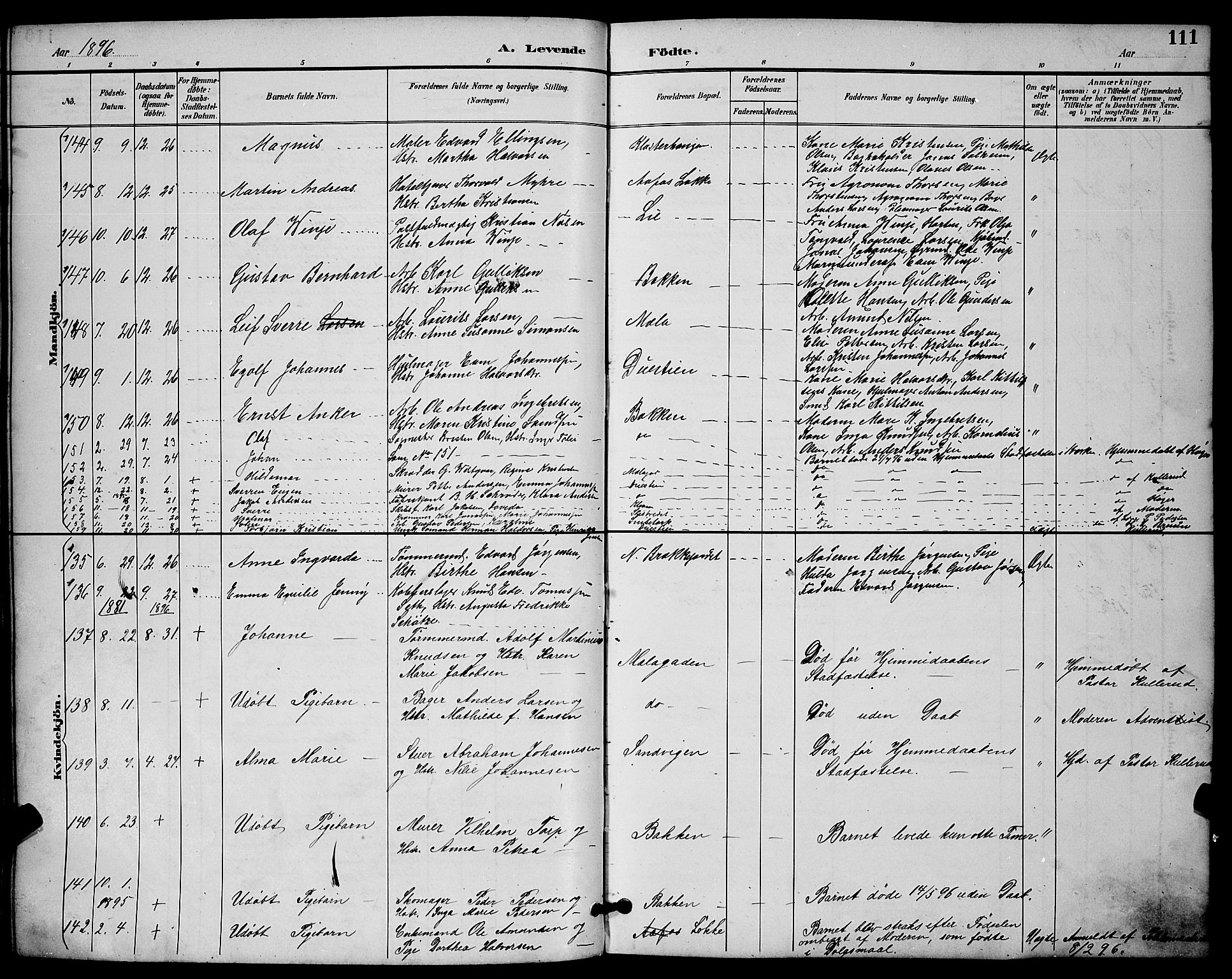 Skien kirkebøker, SAKO/A-302/G/Ga/L0007: Parish register (copy) no. 7, 1891-1900, p. 111