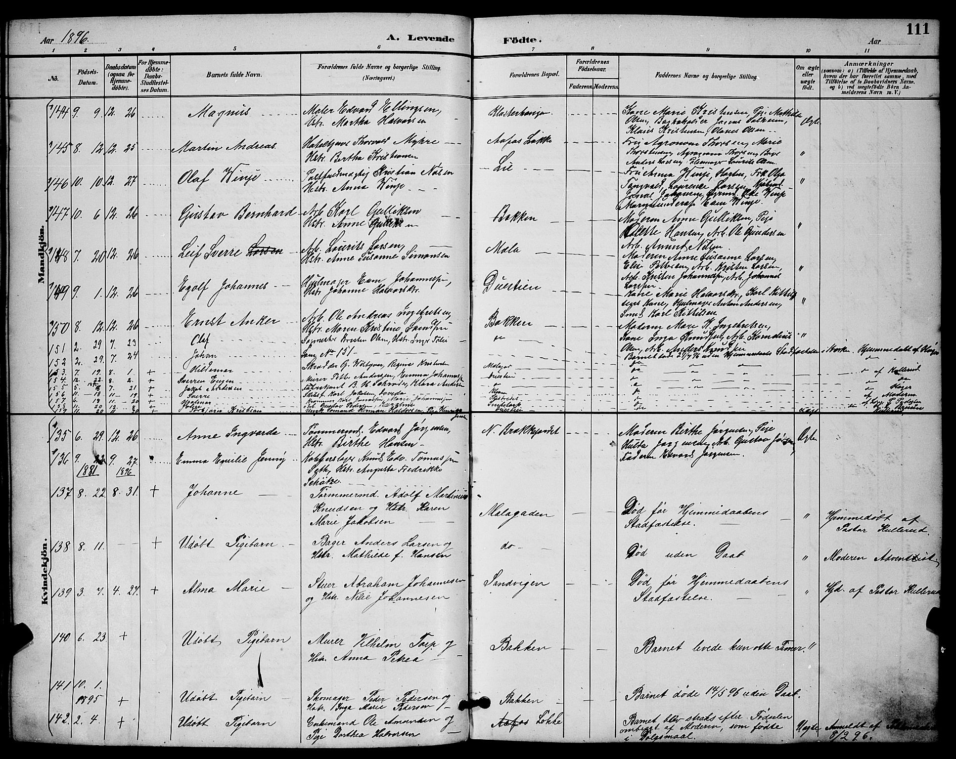 Skien kirkebøker, AV/SAKO-A-302/G/Ga/L0007: Parish register (copy) no. 7, 1891-1900, p. 111