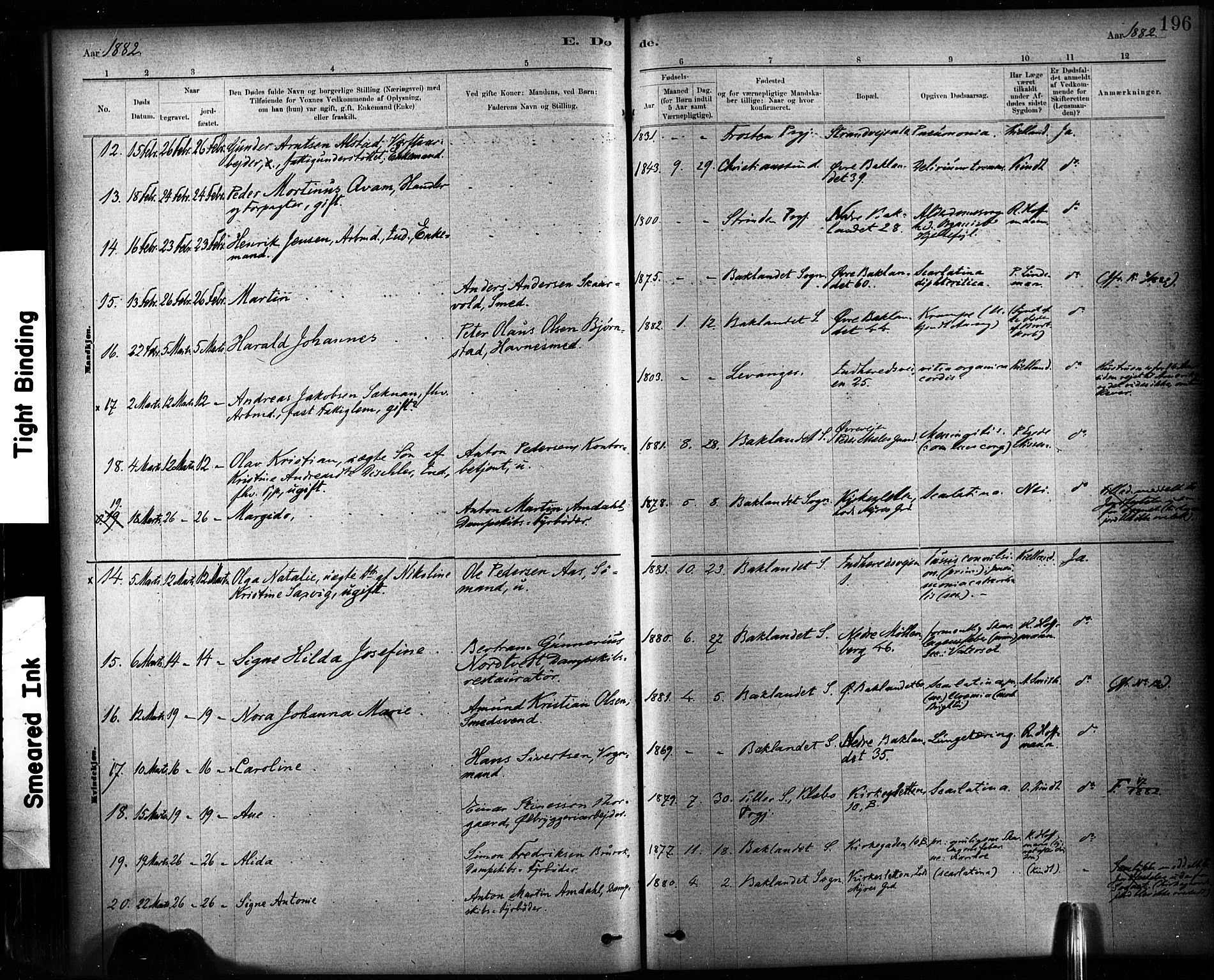 Ministerialprotokoller, klokkerbøker og fødselsregistre - Sør-Trøndelag, AV/SAT-A-1456/604/L0189: Parish register (official) no. 604A10, 1878-1892, p. 196