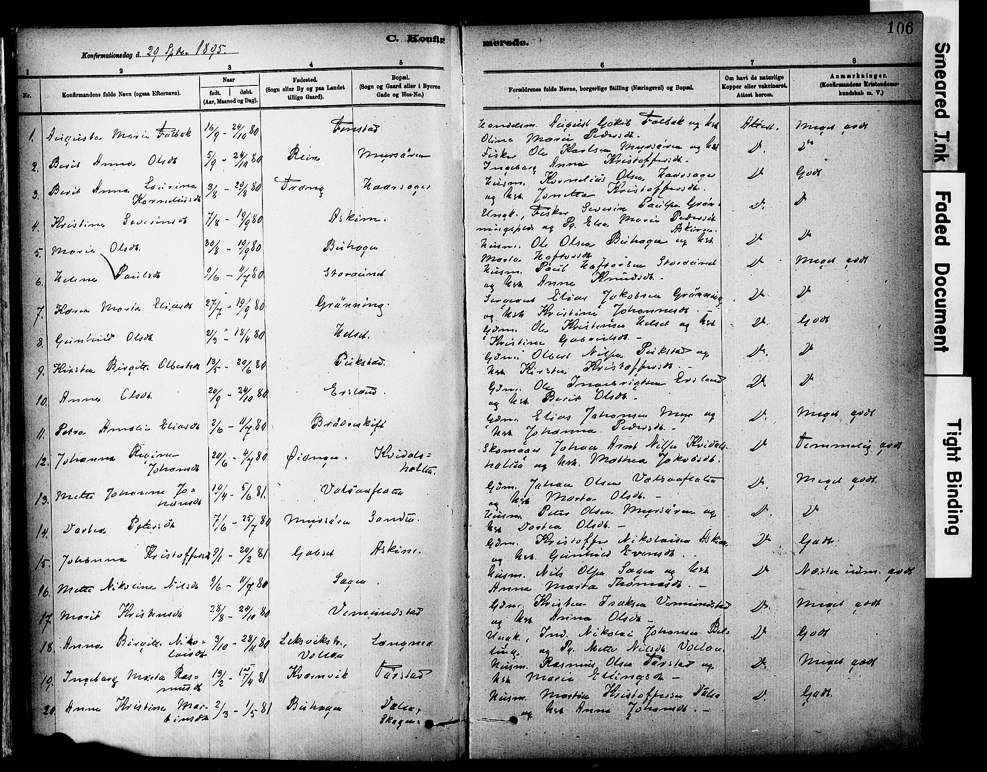 Ministerialprotokoller, klokkerbøker og fødselsregistre - Sør-Trøndelag, SAT/A-1456/646/L0615: Parish register (official) no. 646A13, 1885-1900, p. 106