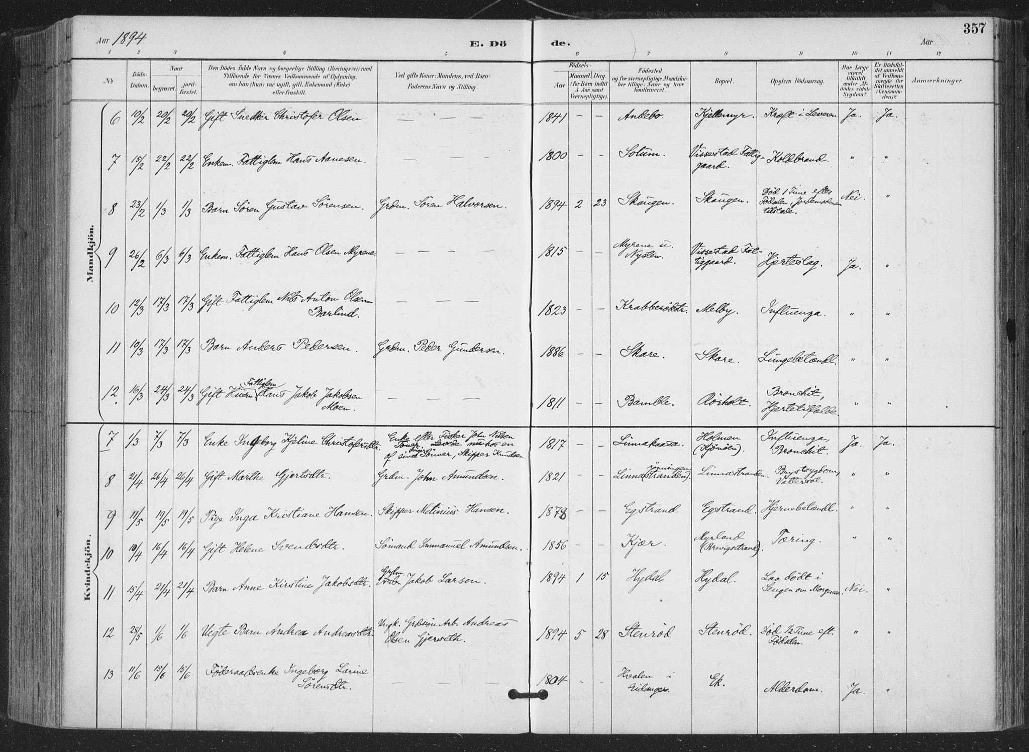 Bamble kirkebøker, AV/SAKO-A-253/F/Fa/L0008: Parish register (official) no. I 8, 1888-1900, p. 357