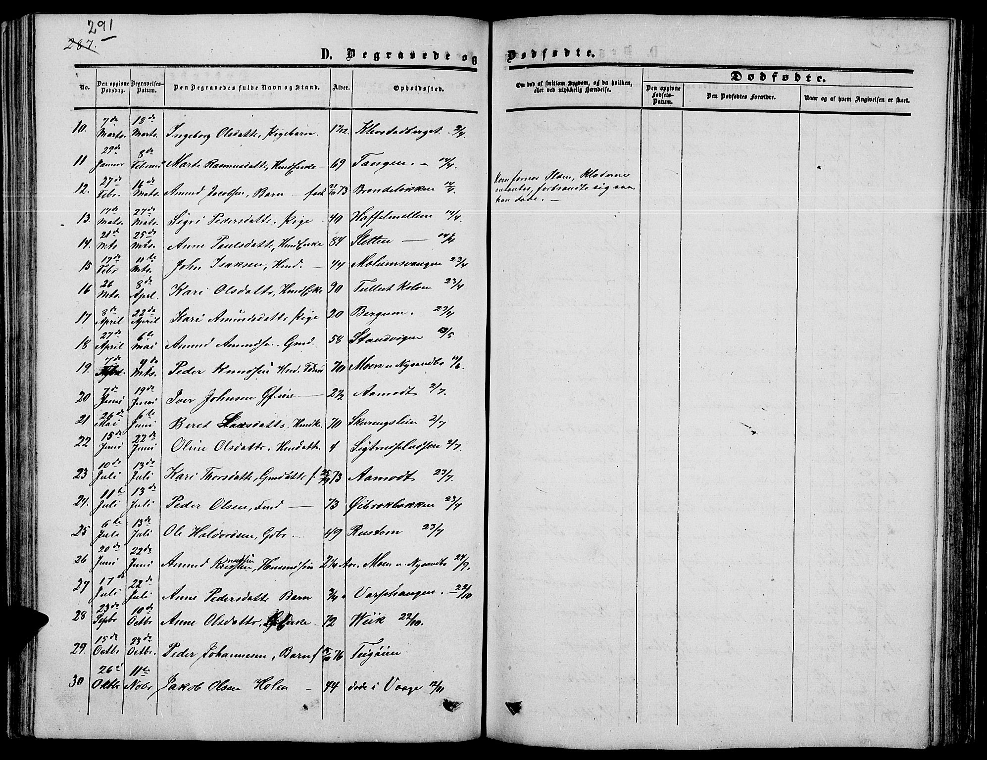 Nord-Fron prestekontor, SAH/PREST-080/H/Ha/Hab/L0003: Parish register (copy) no. 3, 1851-1886, p. 291