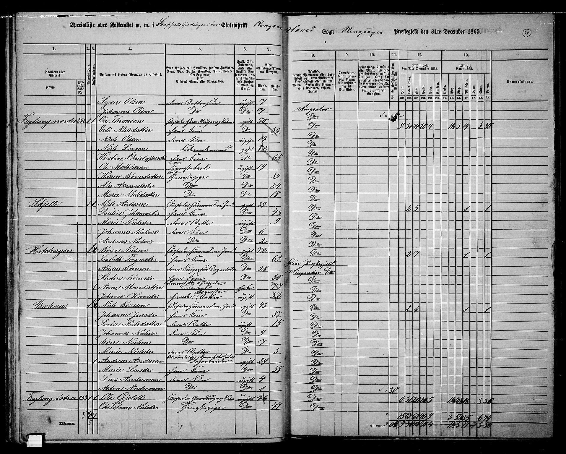 RA, 1865 census for Ringsaker, 1865, p. 285