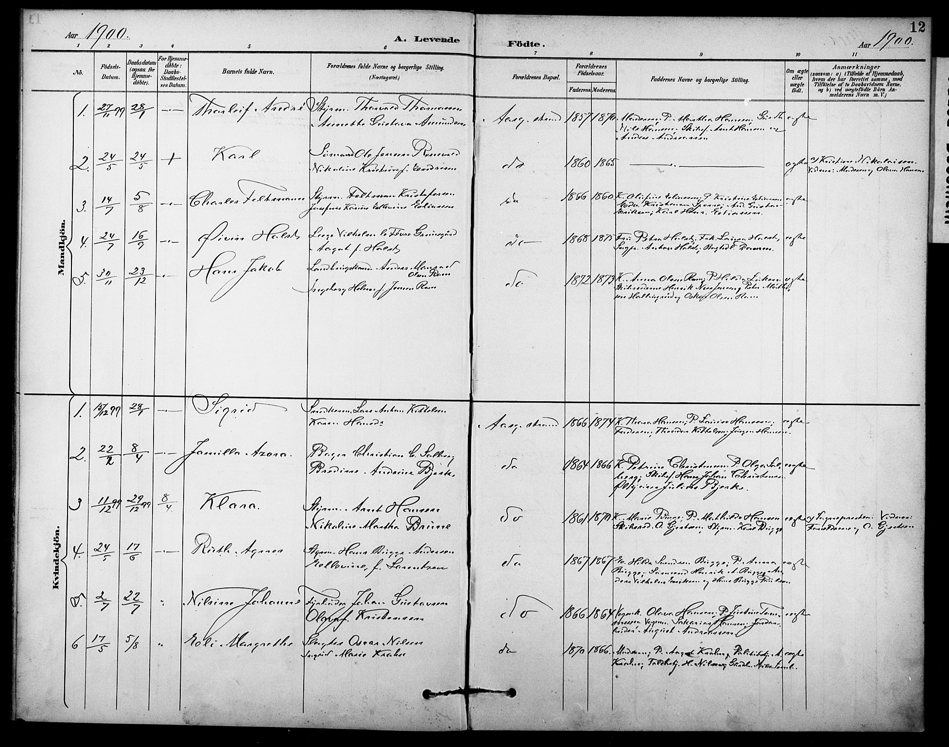 Borre kirkebøker, SAKO/A-338/F/Fb/L0002: Parish register (official) no. II 2, 1893-1905, p. 12
