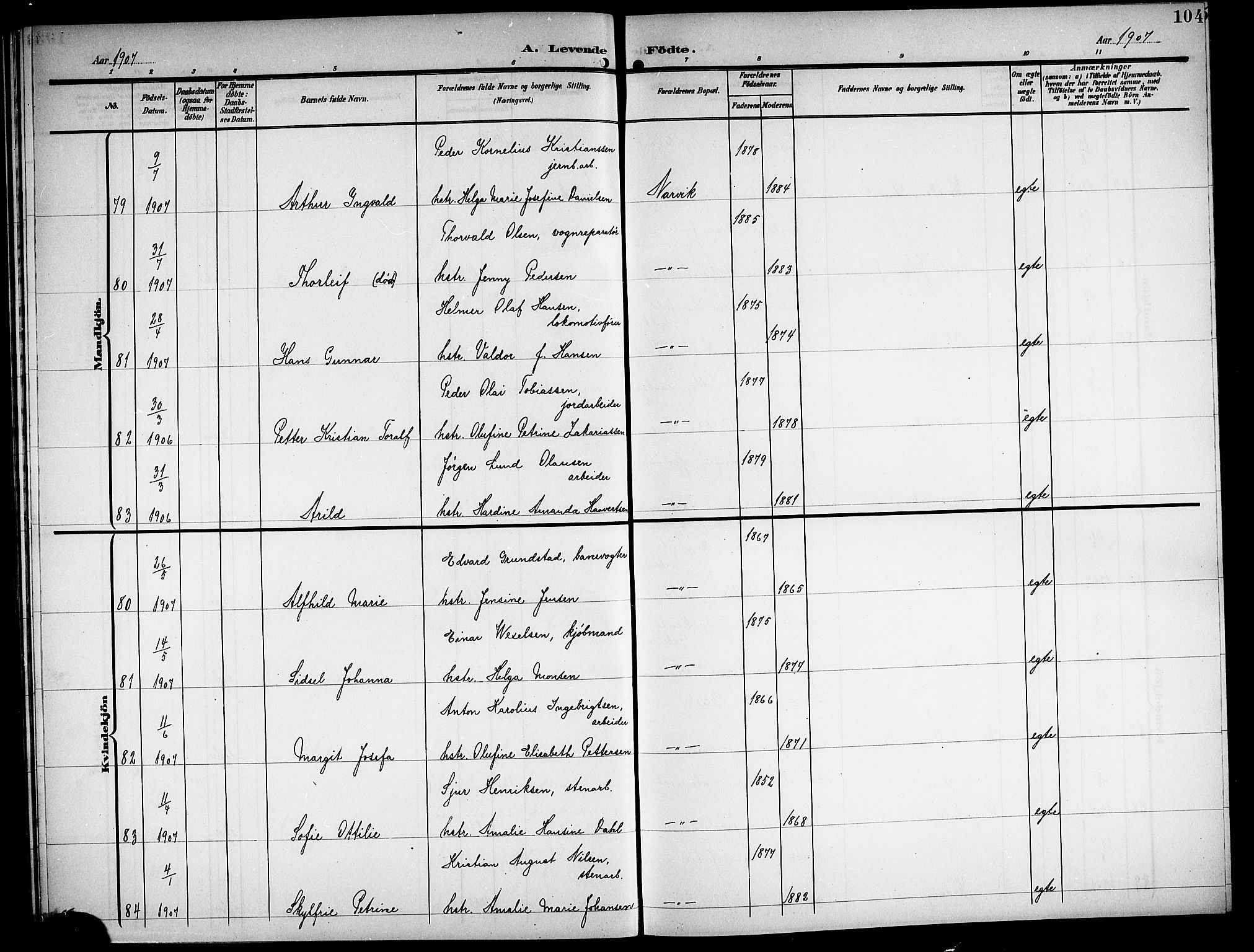 Ministerialprotokoller, klokkerbøker og fødselsregistre - Nordland, AV/SAT-A-1459/871/L1012: Parish register (copy) no. 871C01, 1902-1909, p. 104