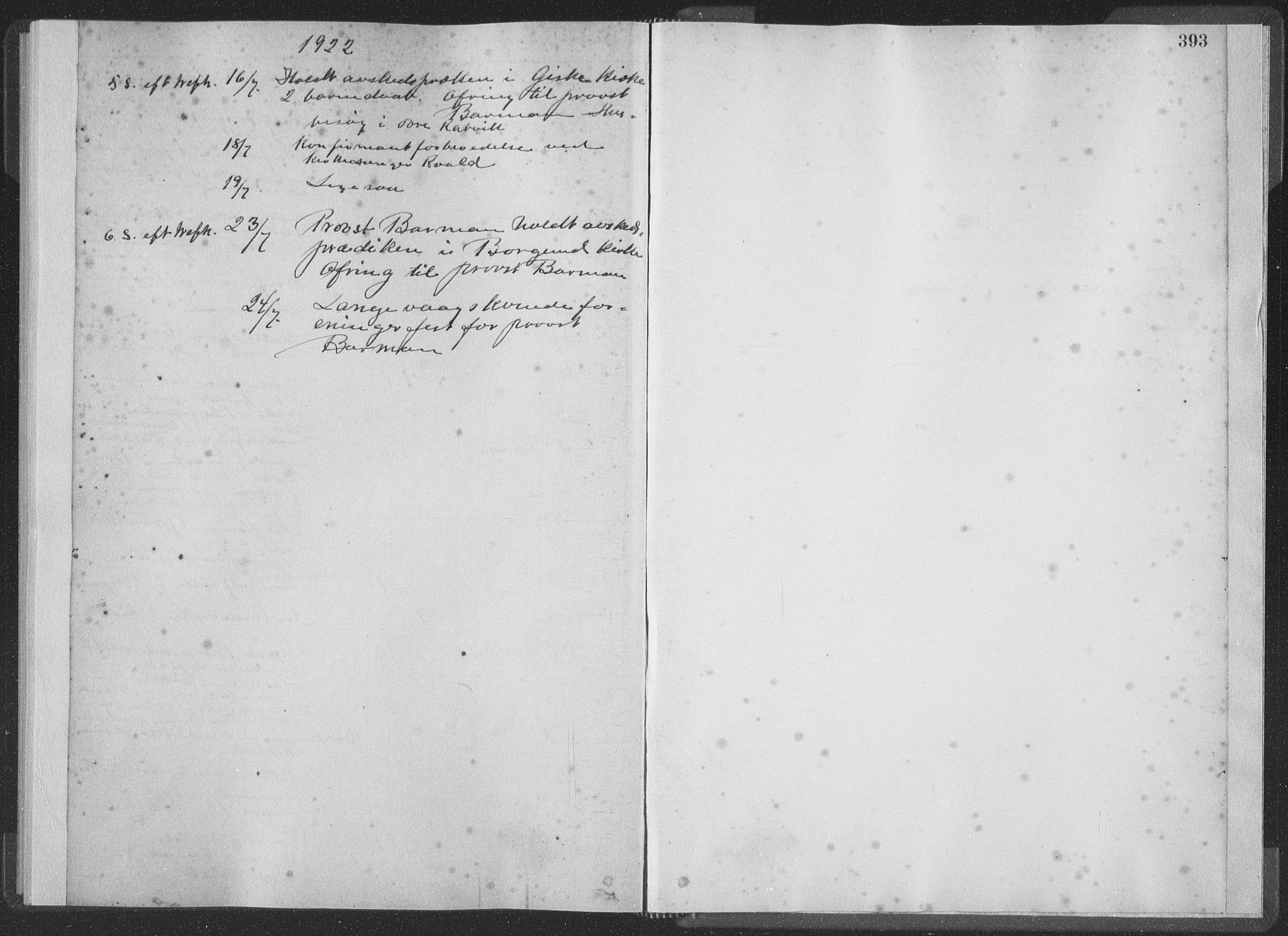 Ministerialprotokoller, klokkerbøker og fødselsregistre - Møre og Romsdal, SAT/A-1454/528/L0404: Parish register (official) no. 528A13II, 1880-1922, p. 393
