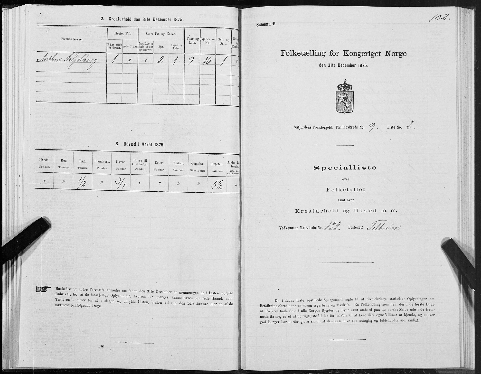 SAT, 1875 census for 1630P Aafjorden, 1875, p. 4102