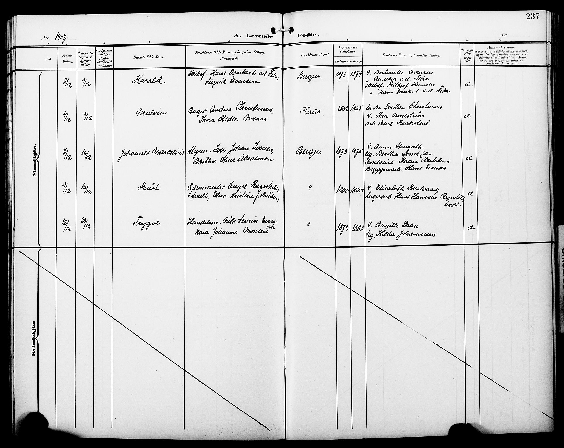 Fødselsstiftelsens sokneprestembete*, SAB/-: Parish register (copy) no. A 1, 1900-1909, p. 237