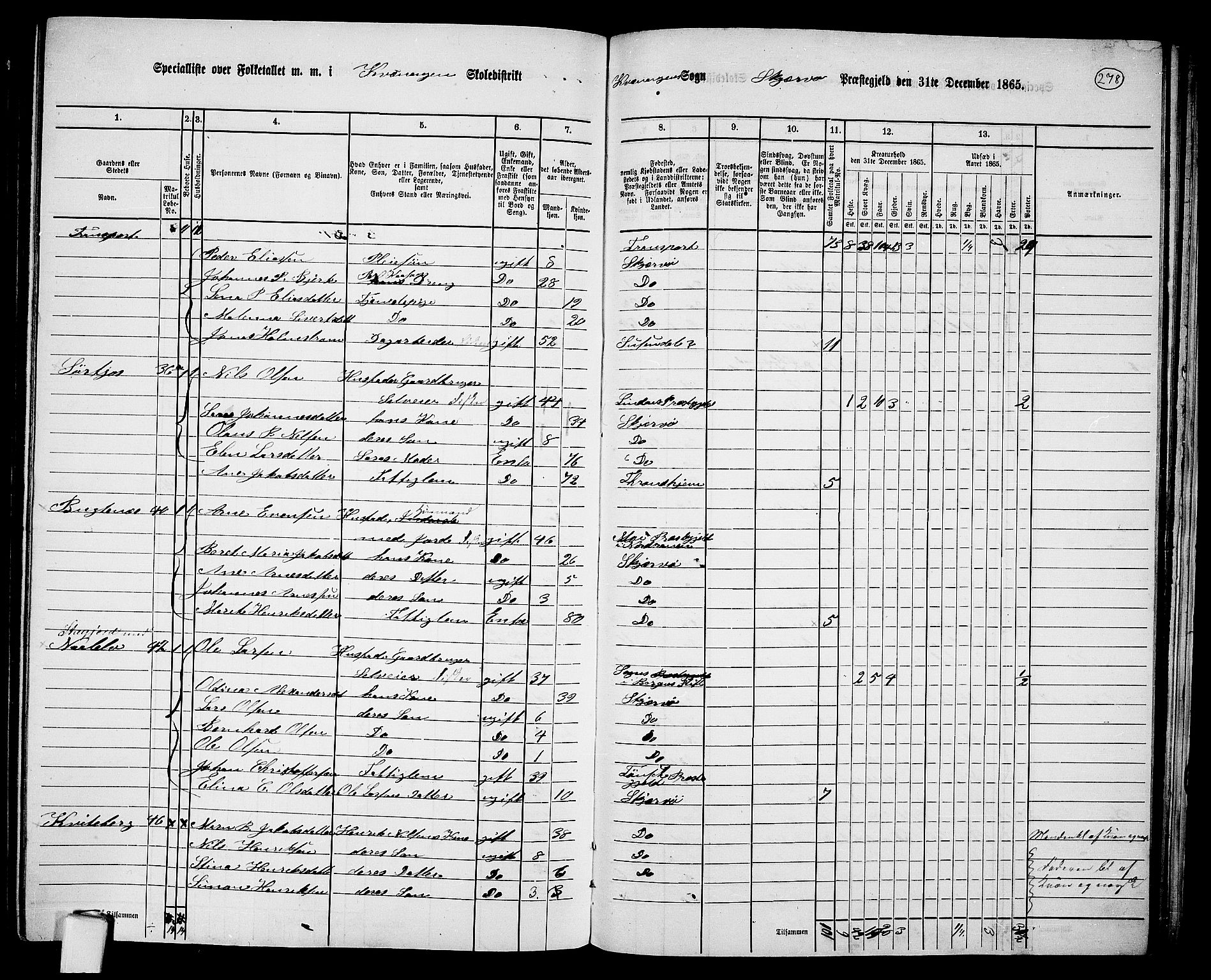 RA, 1865 census for Skjervøy, 1865, p. 152