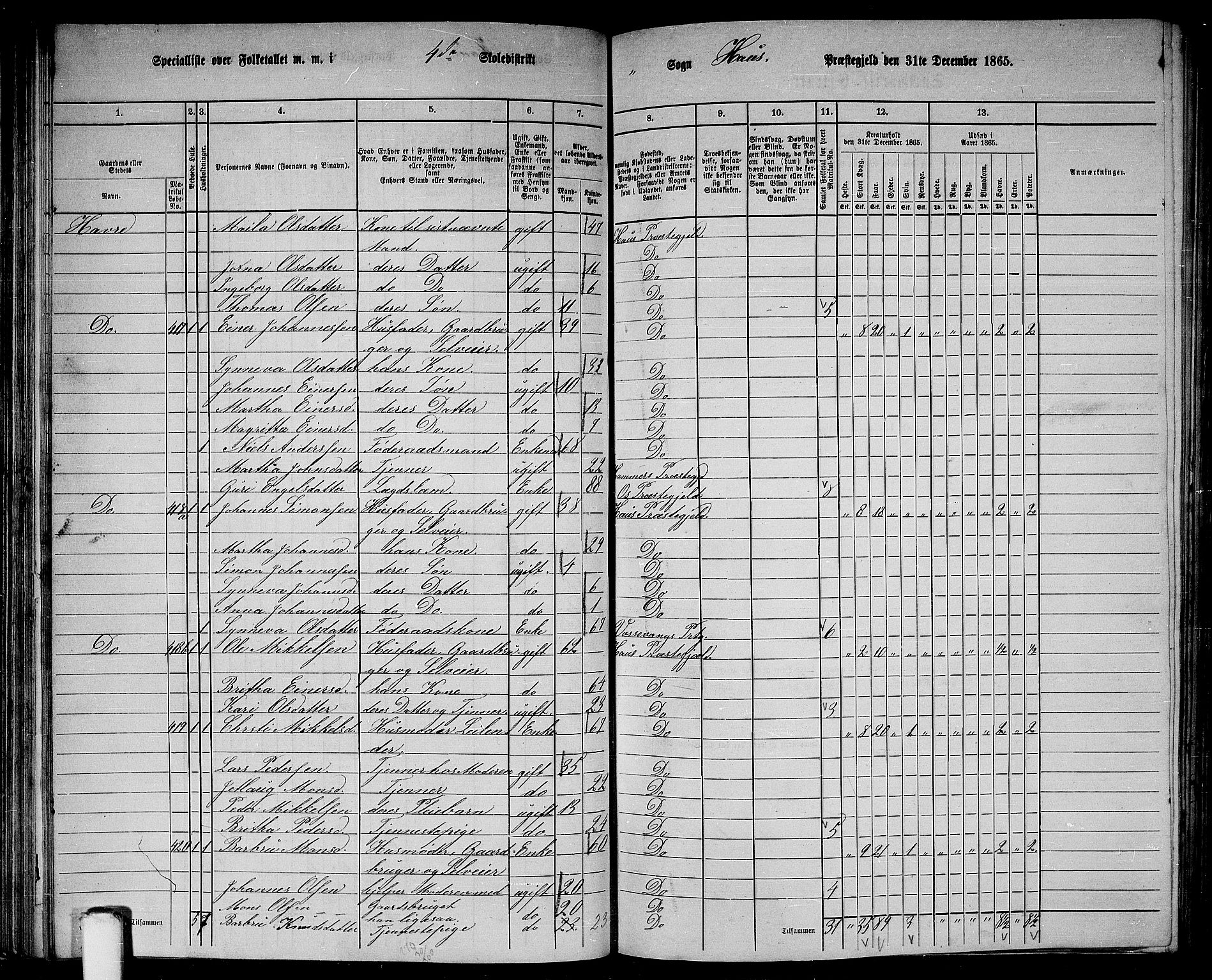 RA, 1865 census for Haus, 1865, p. 86