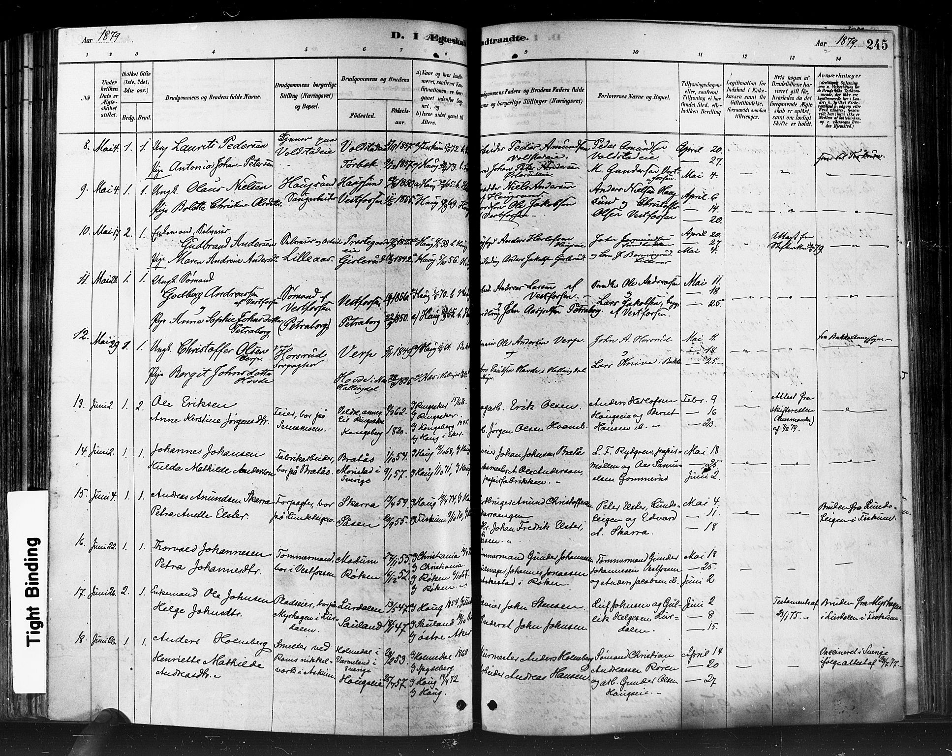 Eiker kirkebøker, SAKO/A-4/F/Fb/L0001: Parish register (official) no. II 1, 1878-1888, p. 245