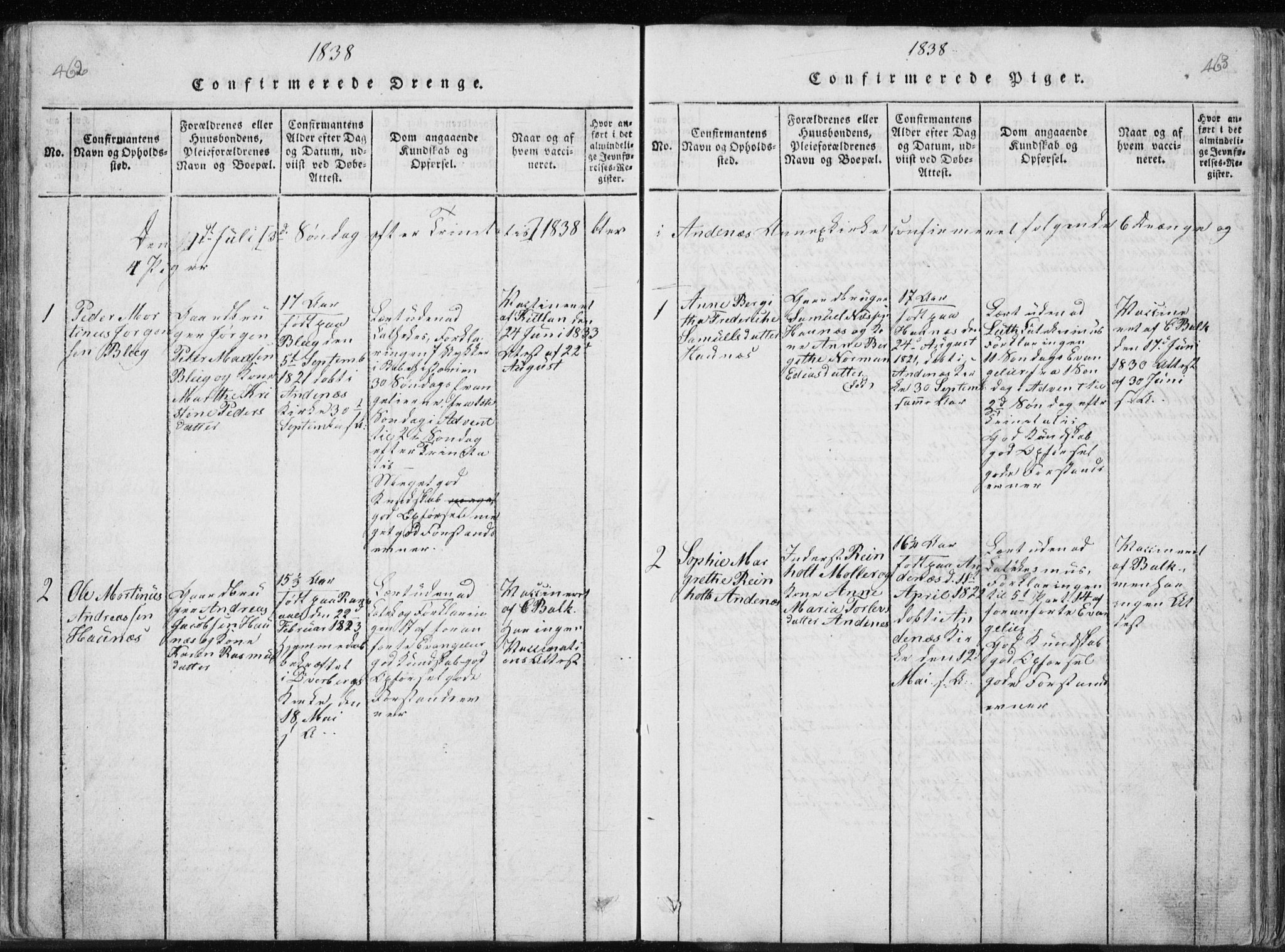 Ministerialprotokoller, klokkerbøker og fødselsregistre - Nordland, AV/SAT-A-1459/897/L1411: Parish register (copy) no. 897C01, 1820-1866, p. 462-463