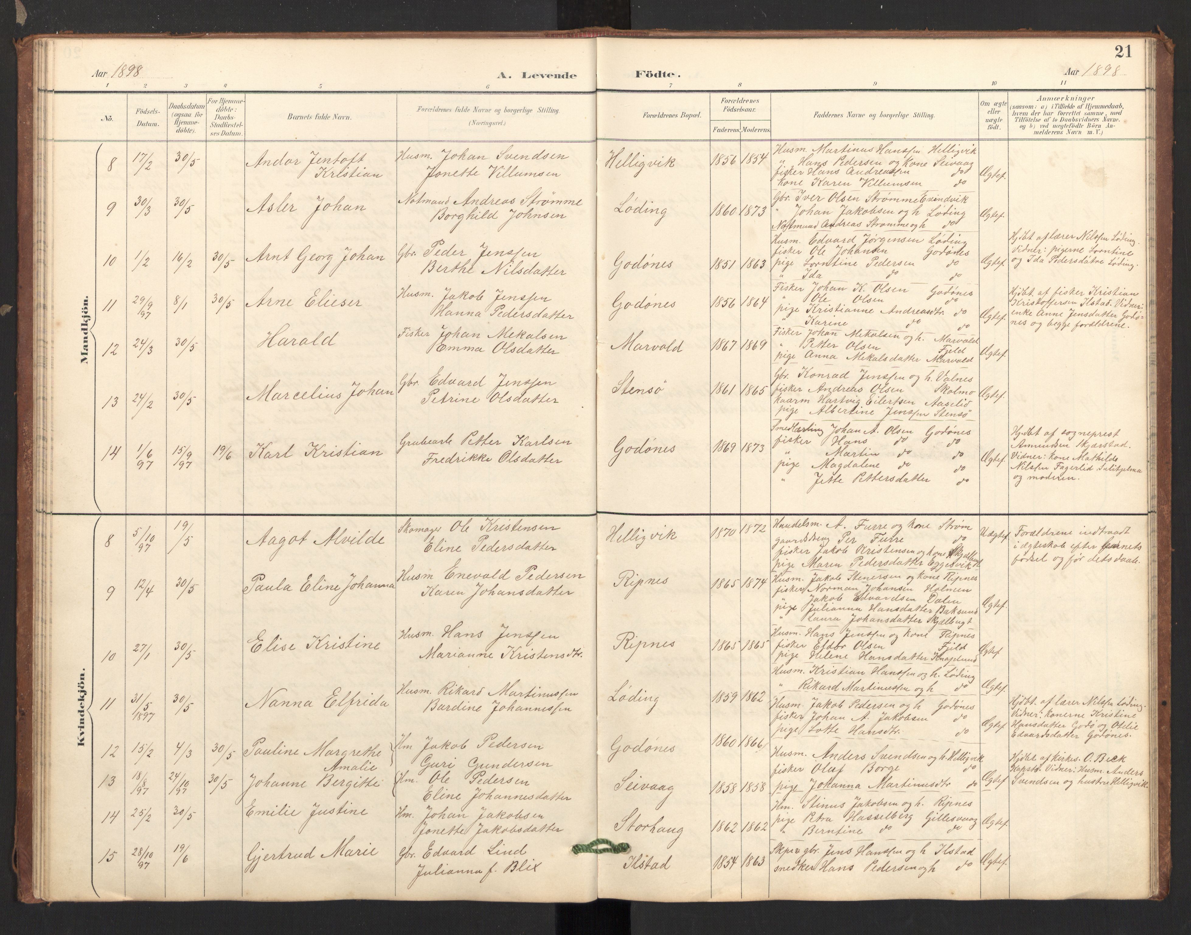 Ministerialprotokoller, klokkerbøker og fødselsregistre - Nordland, SAT/A-1459/804/L0087: Parish register (official) no. 804A08, 1894-1907, p. 21