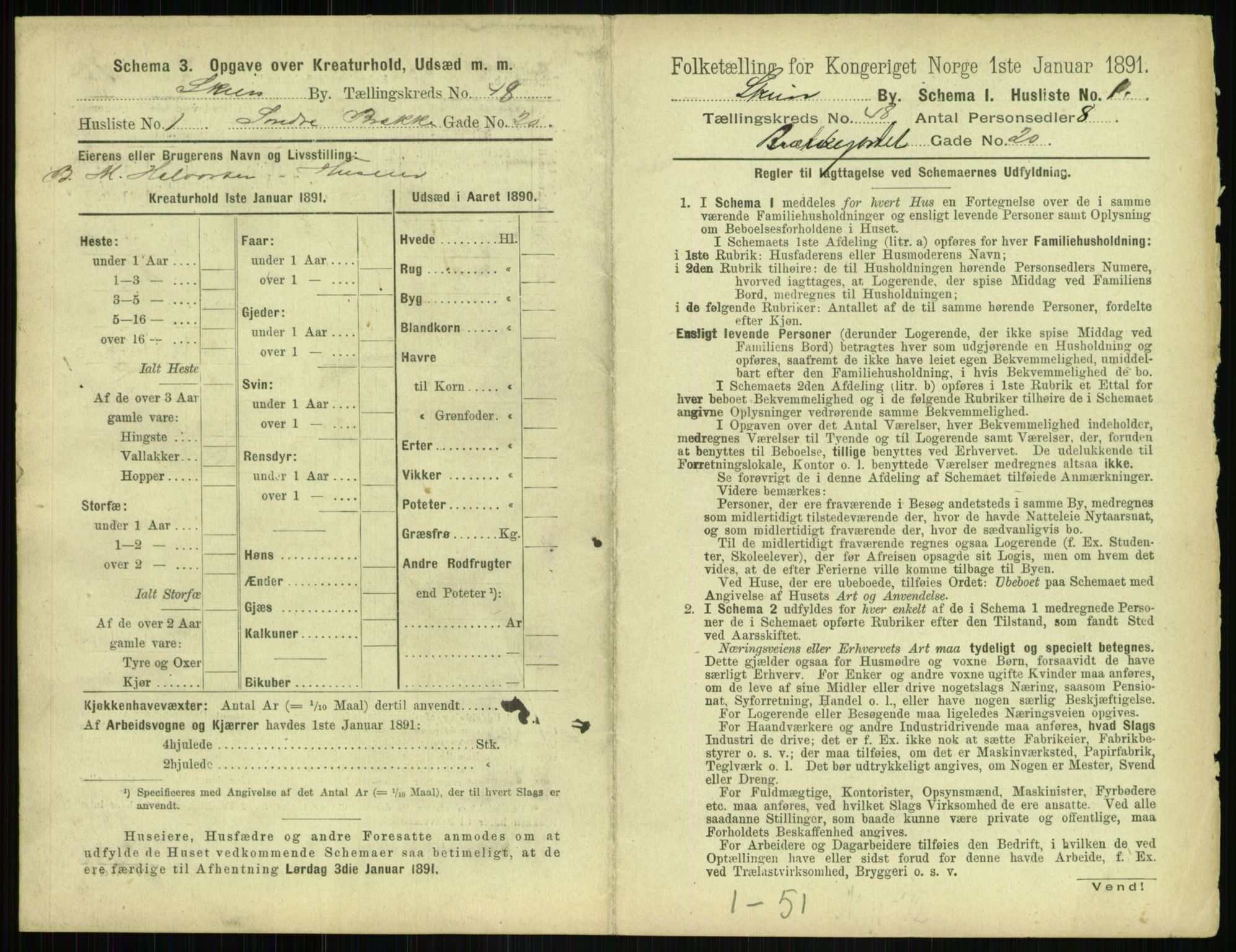 RA, 1891 census for 0806 Skien, 1891, p. 1782