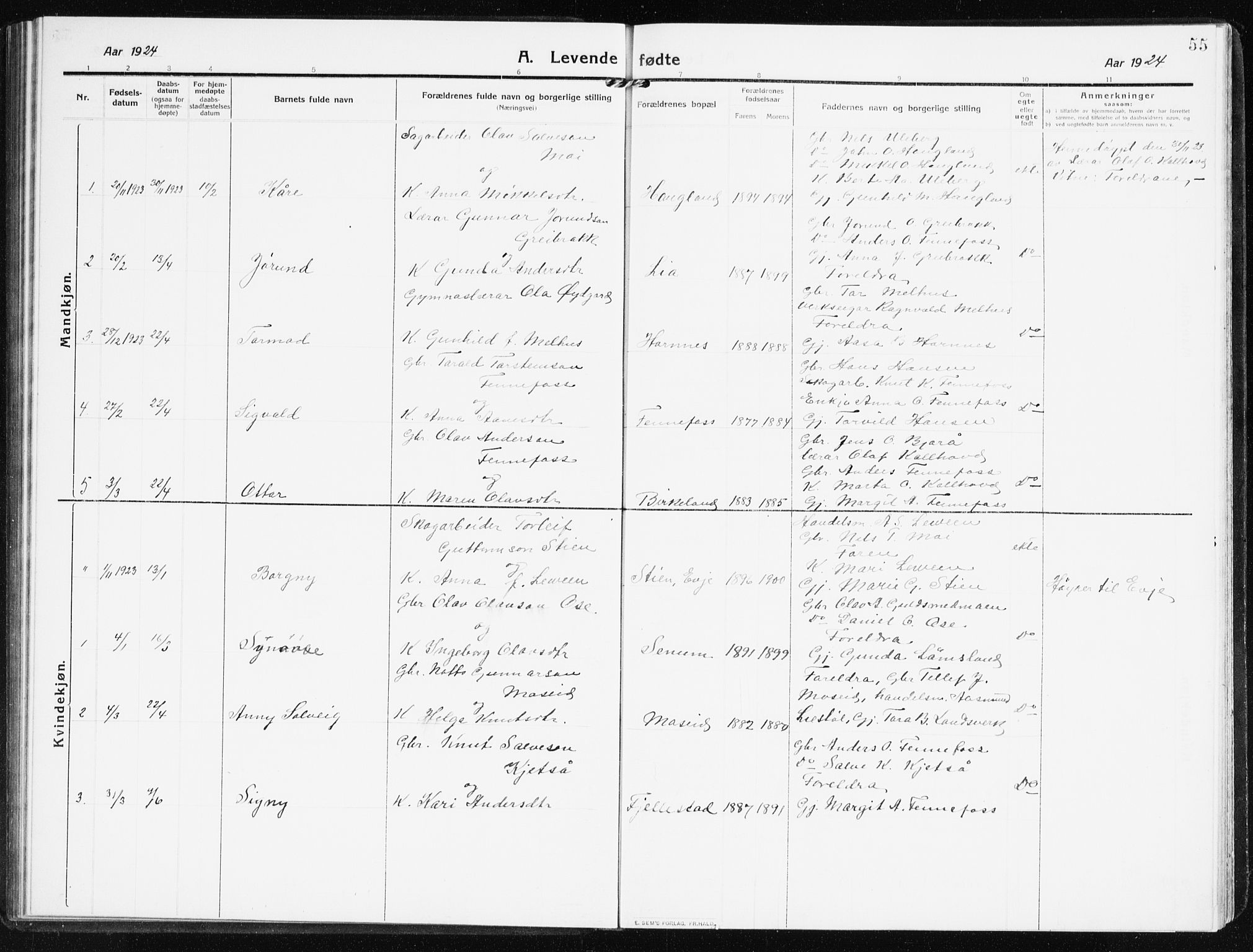 Evje sokneprestkontor, AV/SAK-1111-0008/F/Fb/Fbb/L0003: Parish register (copy) no. B 3, 1910-1933, p. 55
