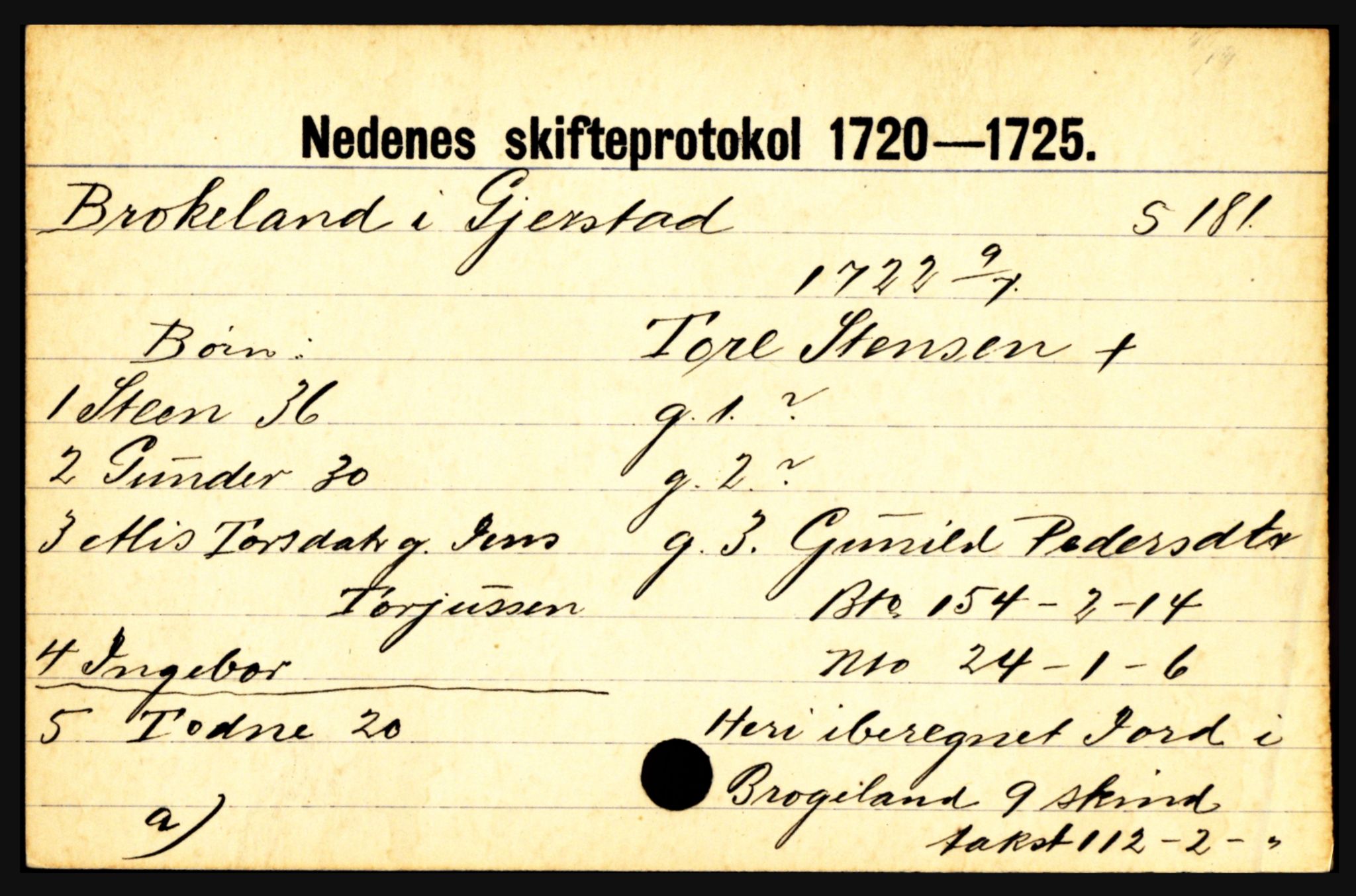 Nedenes sorenskriveri før 1824, SAK/1221-0007/H, p. 4029