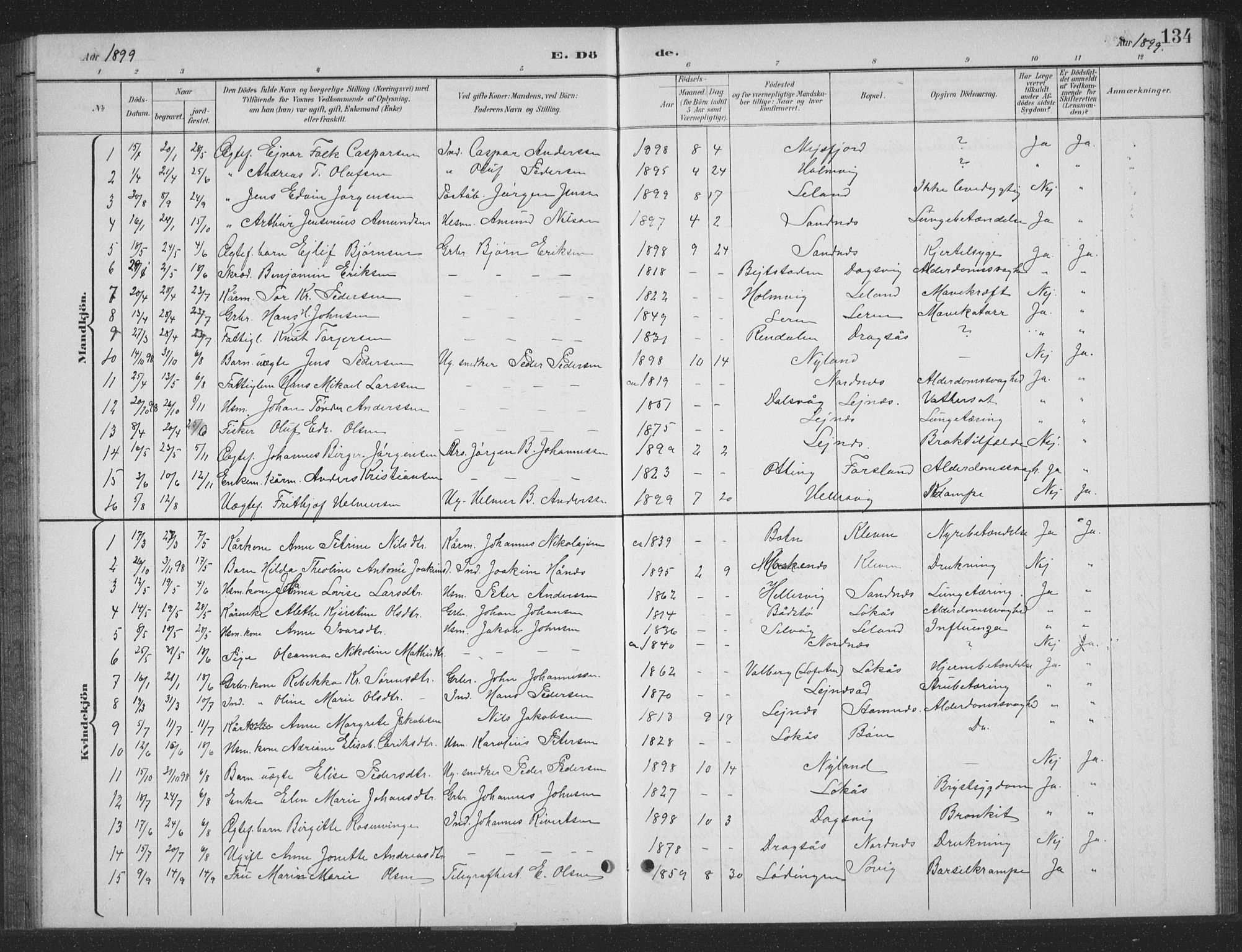 Ministerialprotokoller, klokkerbøker og fødselsregistre - Nordland, AV/SAT-A-1459/831/L0479: Parish register (copy) no. 831C06, 1897-1936, p. 134