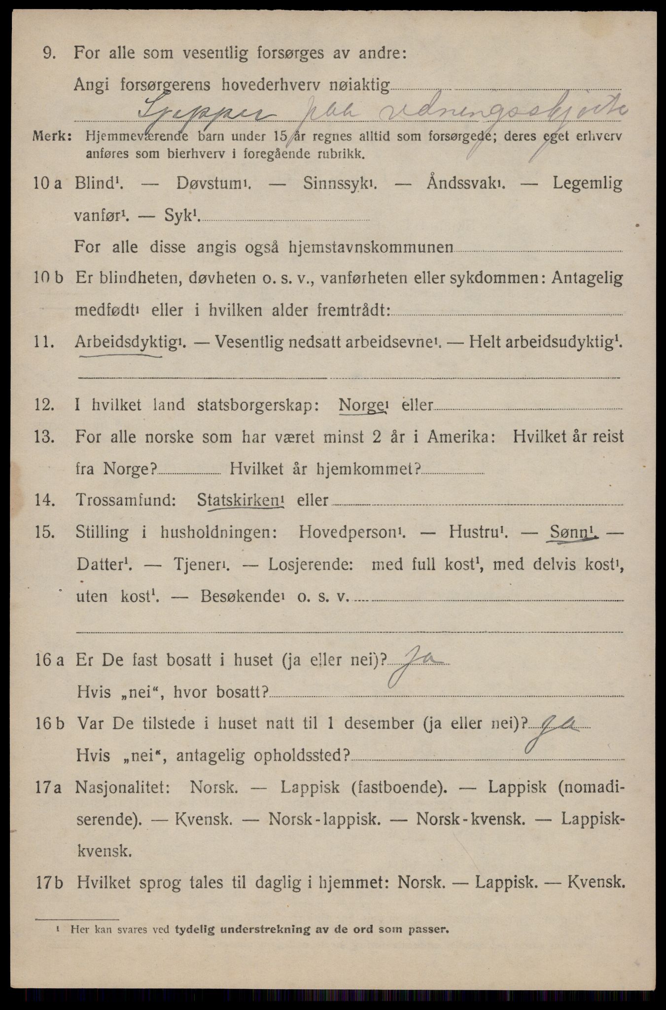 SAT, 1920 census for Dverberg, 1920, p. 11297