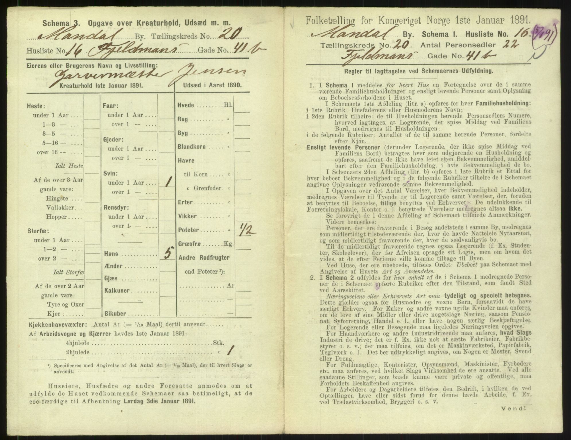 RA, 1891 census for 1002 Mandal, 1891, p. 927