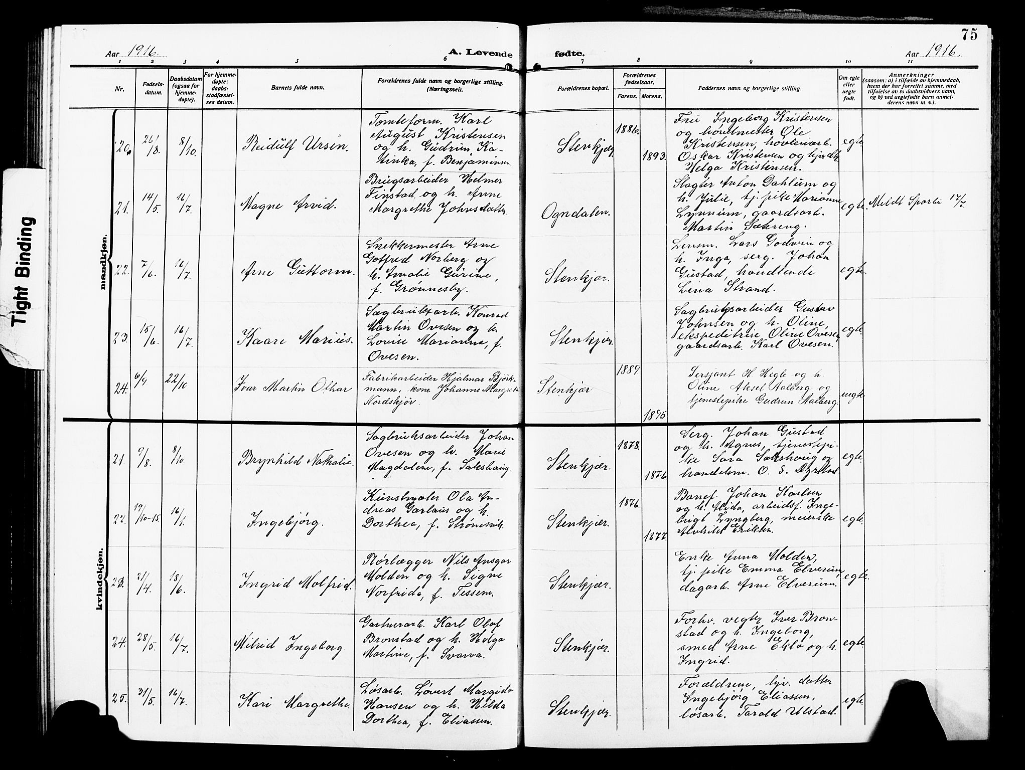 Ministerialprotokoller, klokkerbøker og fødselsregistre - Nord-Trøndelag, SAT/A-1458/739/L0376: Parish register (copy) no. 739C04, 1908-1917, p. 75