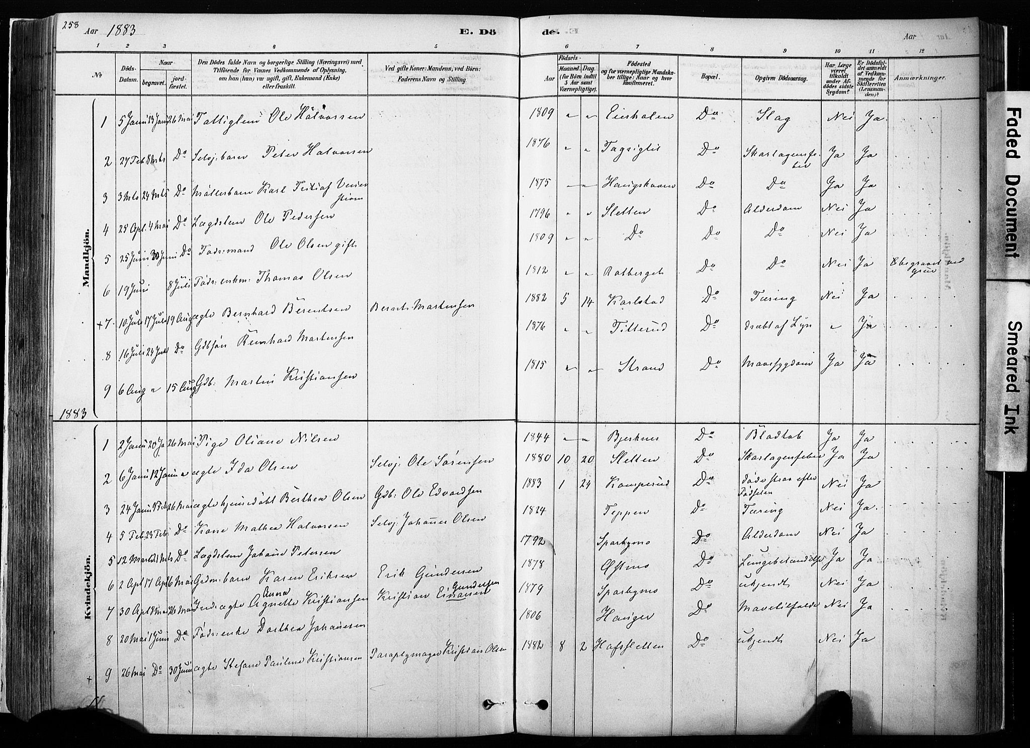 Hof prestekontor, SAH/PREST-038/H/Ha/Haa/L0010: Parish register (official) no. 10, 1878-1909, p. 258