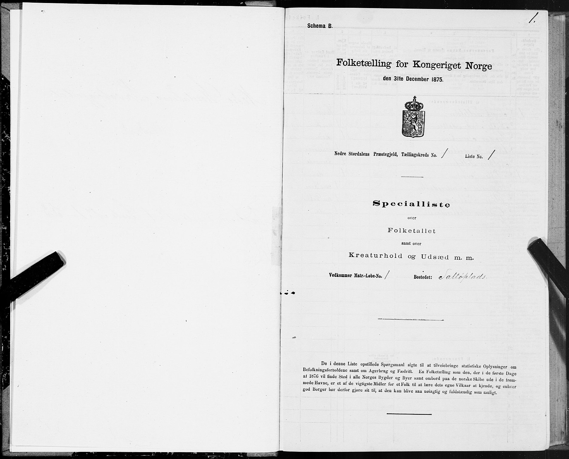 SAT, 1875 census for 1714P Nedre Stjørdal, 1875, p. 1001