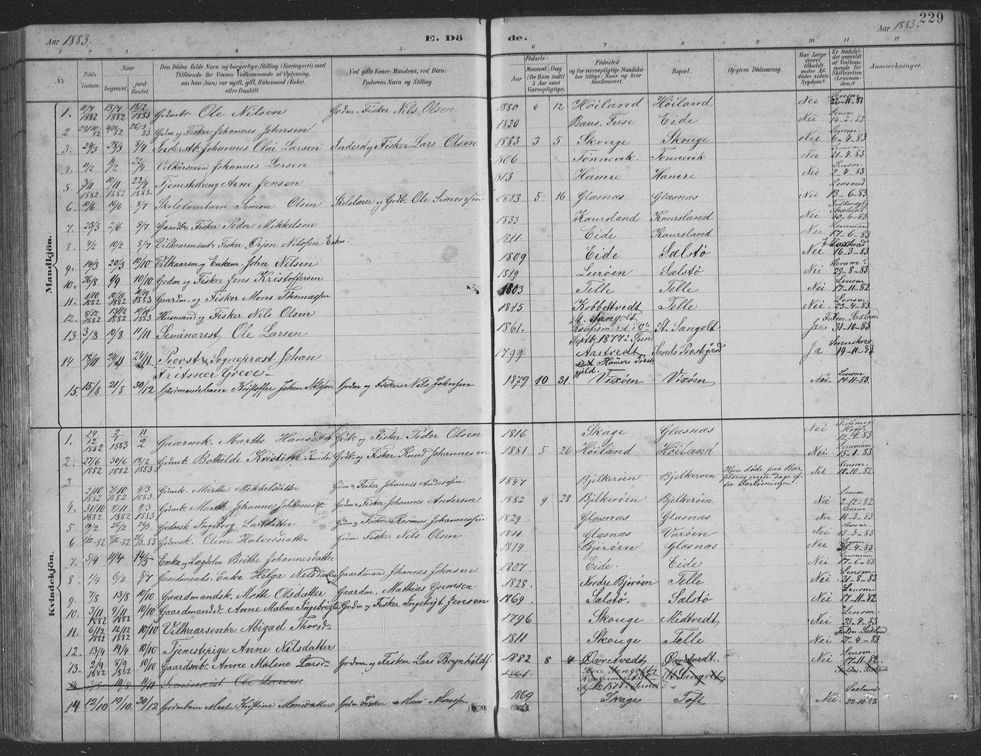 Sund sokneprestembete, AV/SAB-A-99930: Parish register (copy) no. B 3, 1882-1911, p. 229