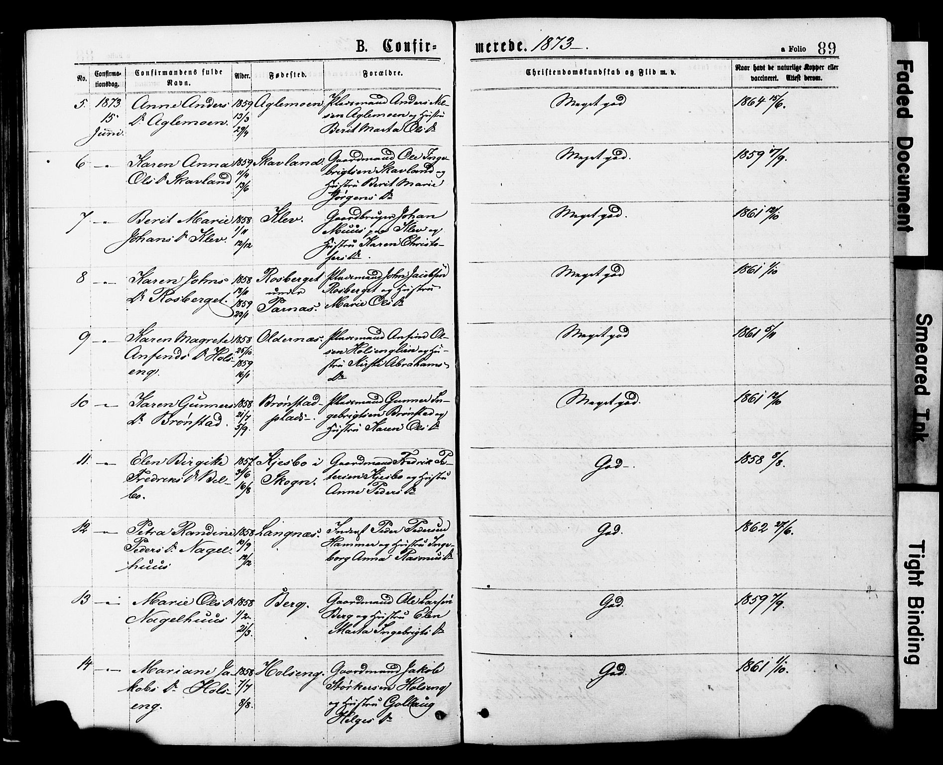 Ministerialprotokoller, klokkerbøker og fødselsregistre - Nord-Trøndelag, AV/SAT-A-1458/749/L0473: Parish register (official) no. 749A07, 1873-1887, p. 89