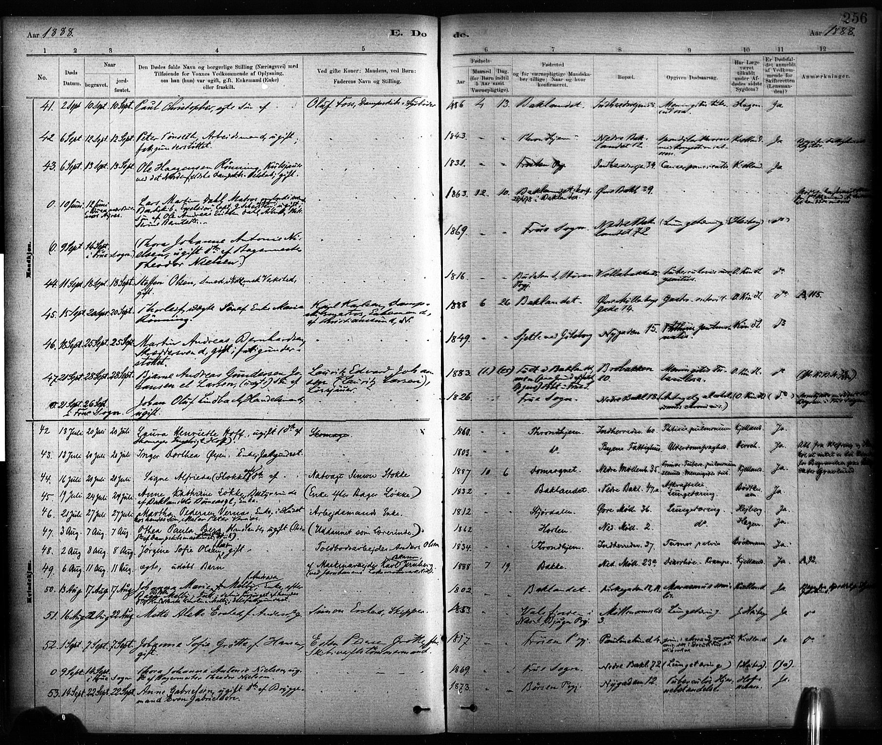 Ministerialprotokoller, klokkerbøker og fødselsregistre - Sør-Trøndelag, AV/SAT-A-1456/604/L0189: Parish register (official) no. 604A10, 1878-1892, p. 256