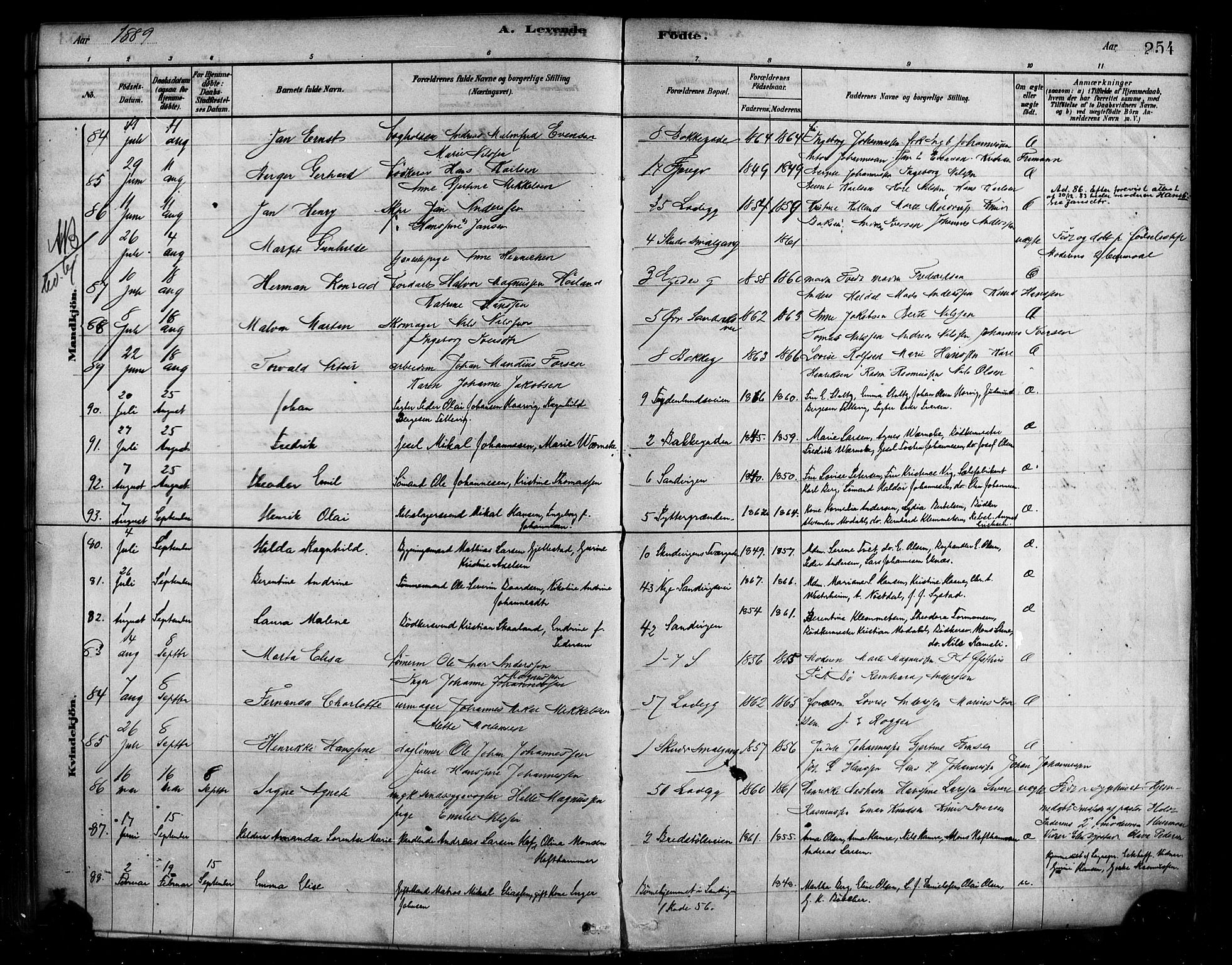 Sandviken Sokneprestembete, AV/SAB-A-77601/H/Ha/L0004: Parish register (official) no. B 1, 1878-1891, p. 254