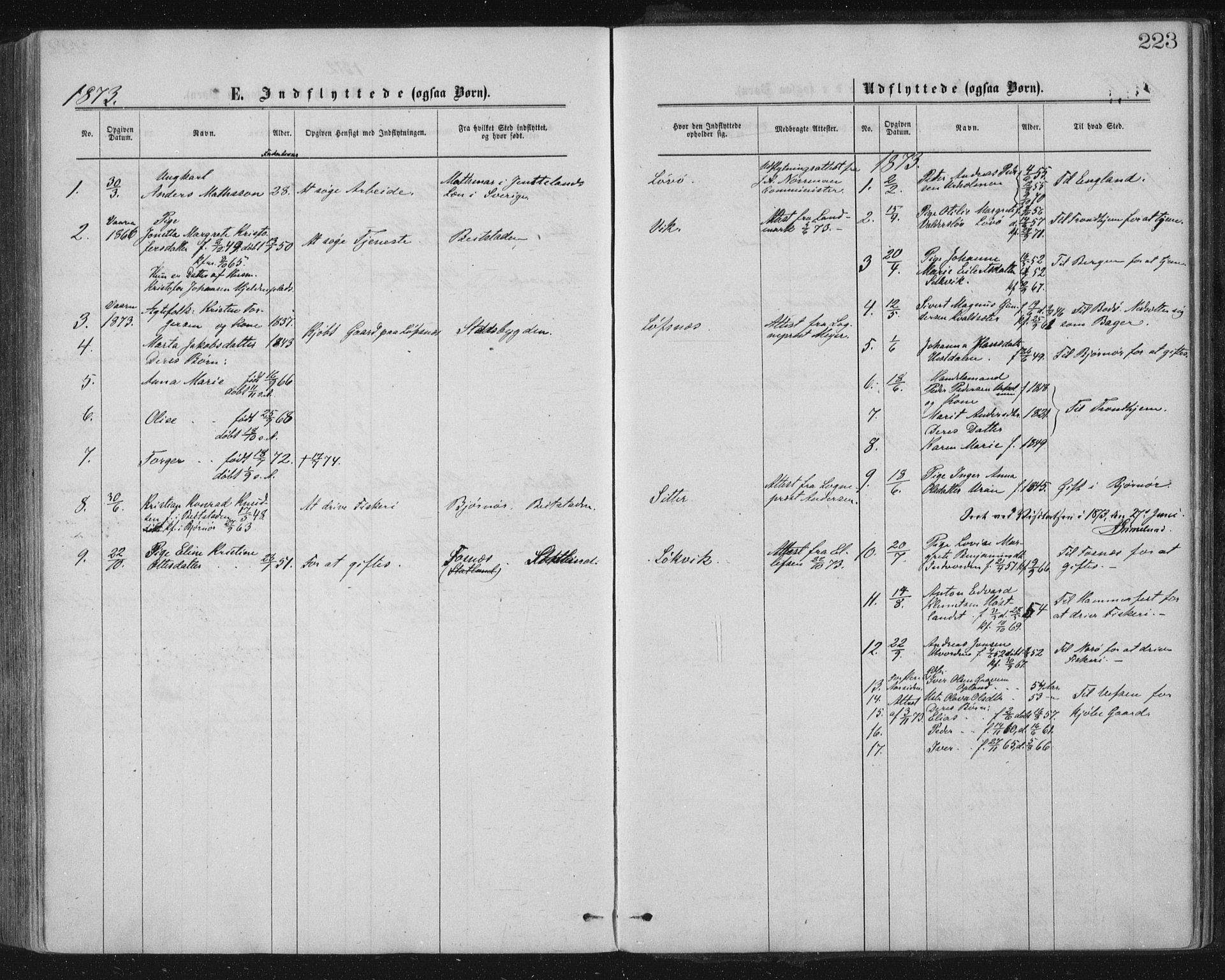 Ministerialprotokoller, klokkerbøker og fødselsregistre - Nord-Trøndelag, AV/SAT-A-1458/771/L0596: Parish register (official) no. 771A03, 1870-1884, p. 223