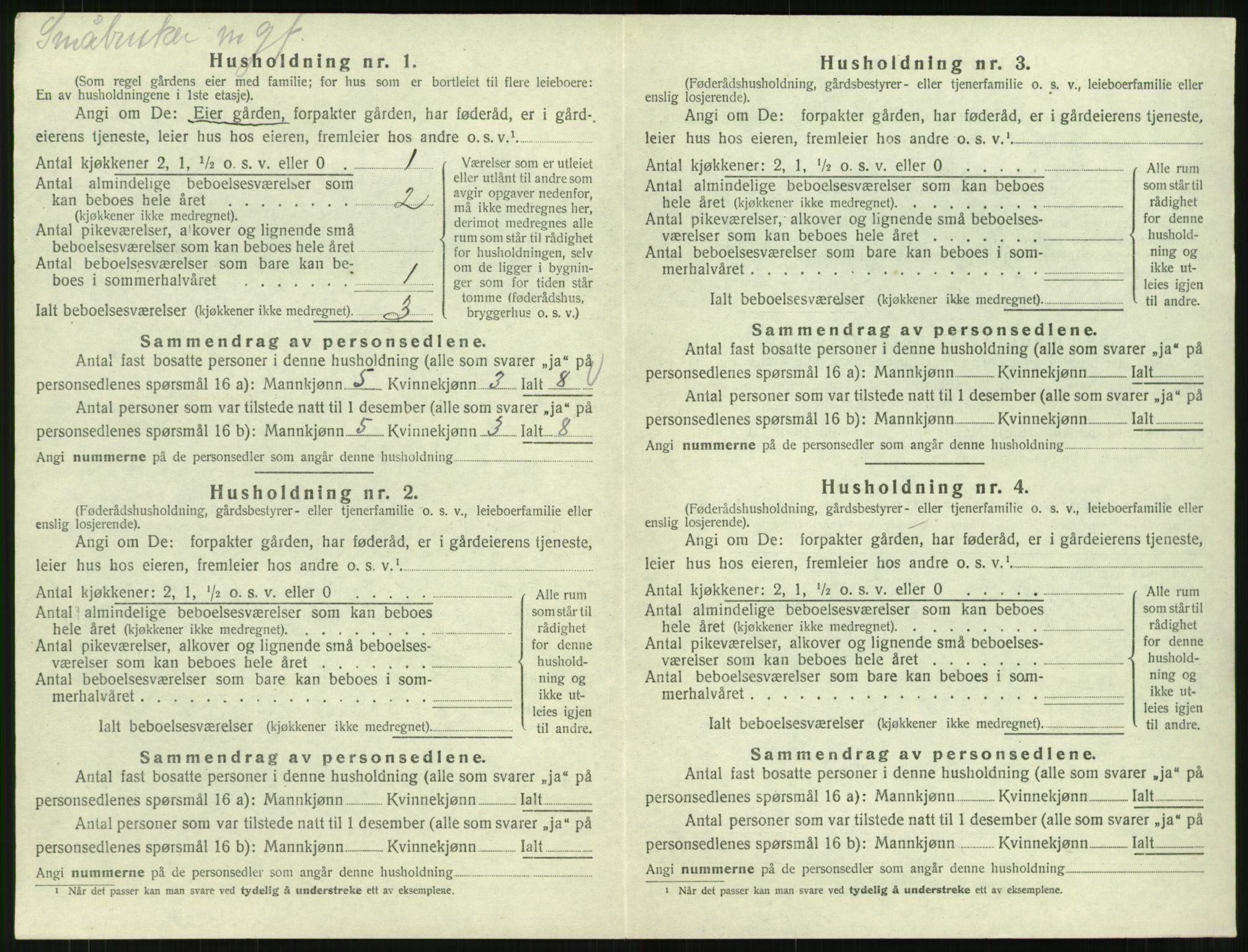 SAT, 1920 census for Kornstad, 1920, p. 356