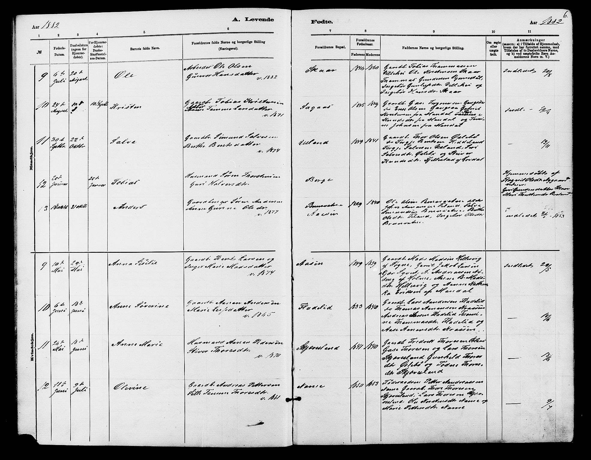 Holum sokneprestkontor, SAK/1111-0022/F/Fb/Fbc/L0003: Parish register (copy) no. B 3, 1882-1908, p. 6