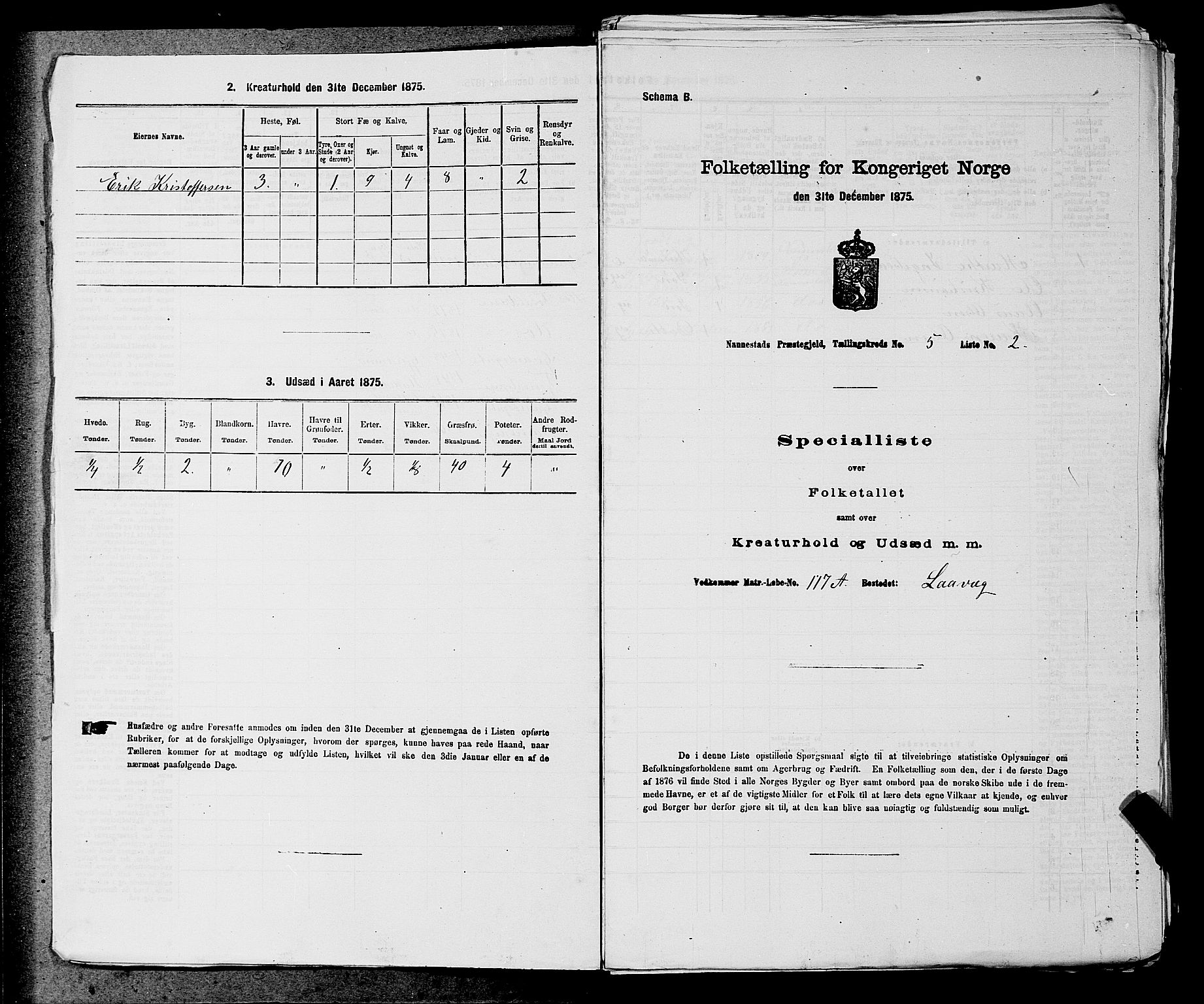 RA, 1875 census for 0238P Nannestad, 1875, p. 715