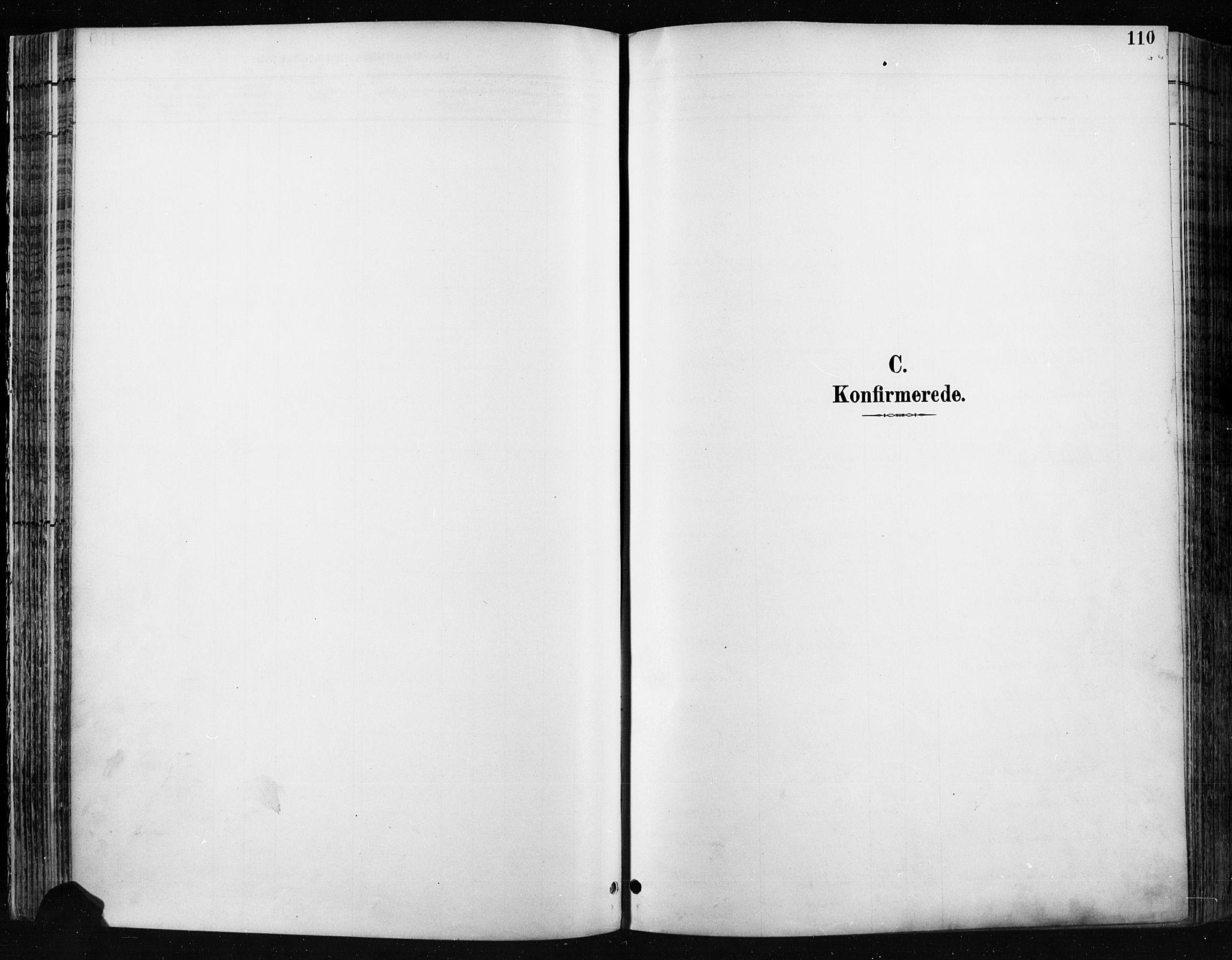 Jevnaker prestekontor, AV/SAH-PREST-116/H/Ha/Haa/L0009: Parish register (official) no. 9, 1891-1901, p. 110