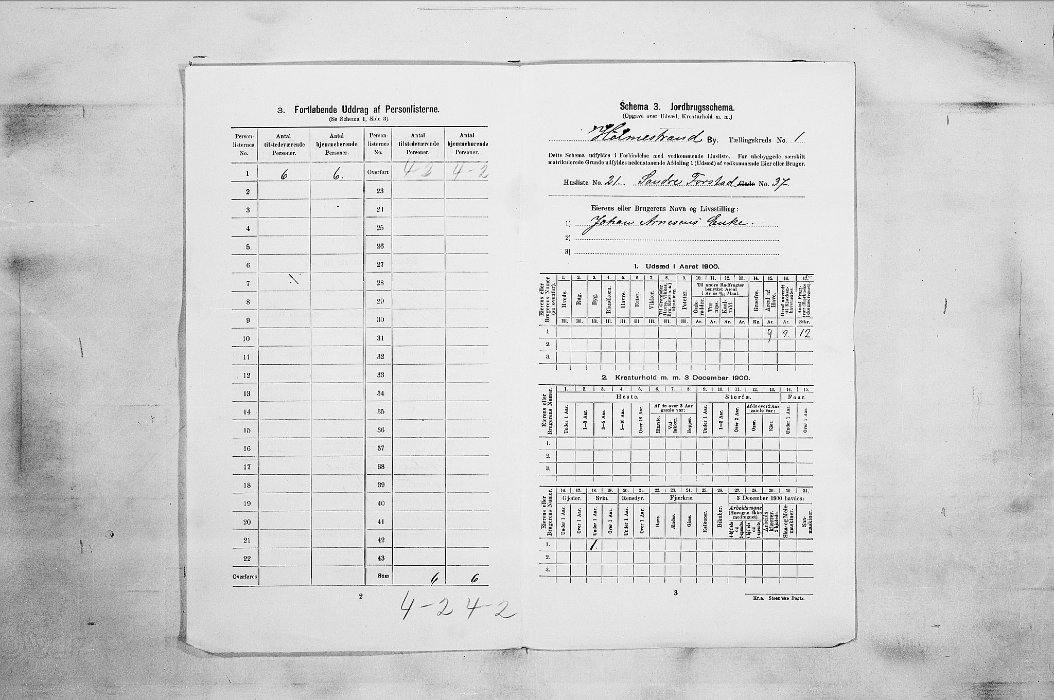 RA, 1900 census for Holmestrand, 1900, p. 31