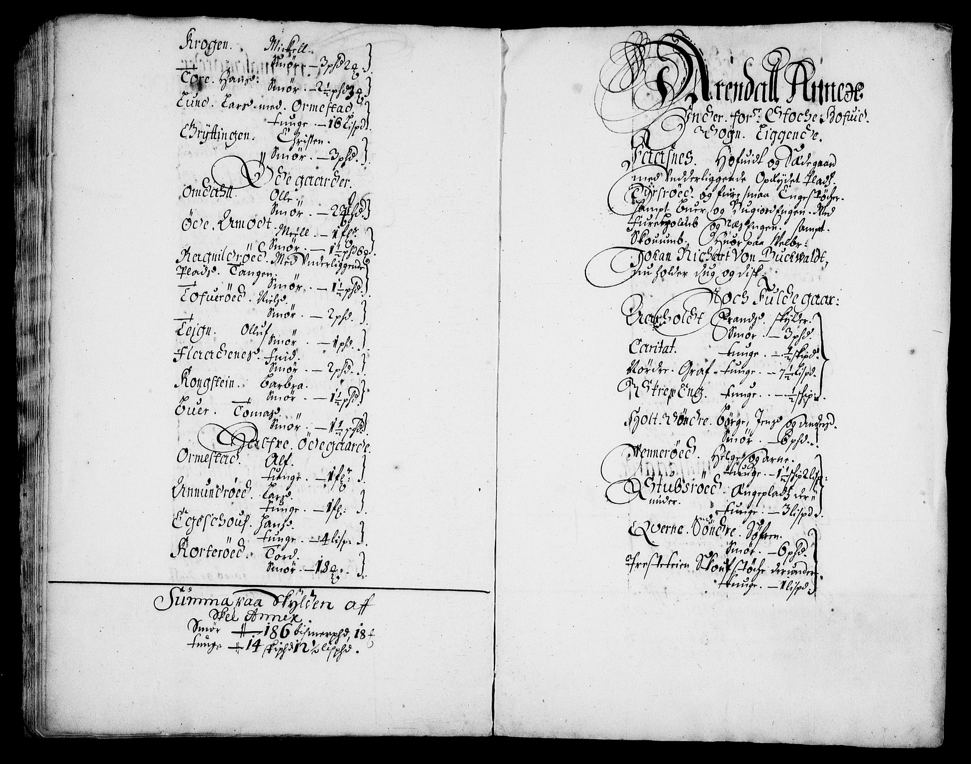 Rentekammeret inntil 1814, Realistisk ordnet avdeling, RA/EA-4070/N/Na/L0003/0003: [XI h]: Tønsbergs amt og Larvik grevskaps jordebøker: / (C) Smør- og kjøttskatt, inkludert Griffenfelds gods i Larvik grevskap, 1674