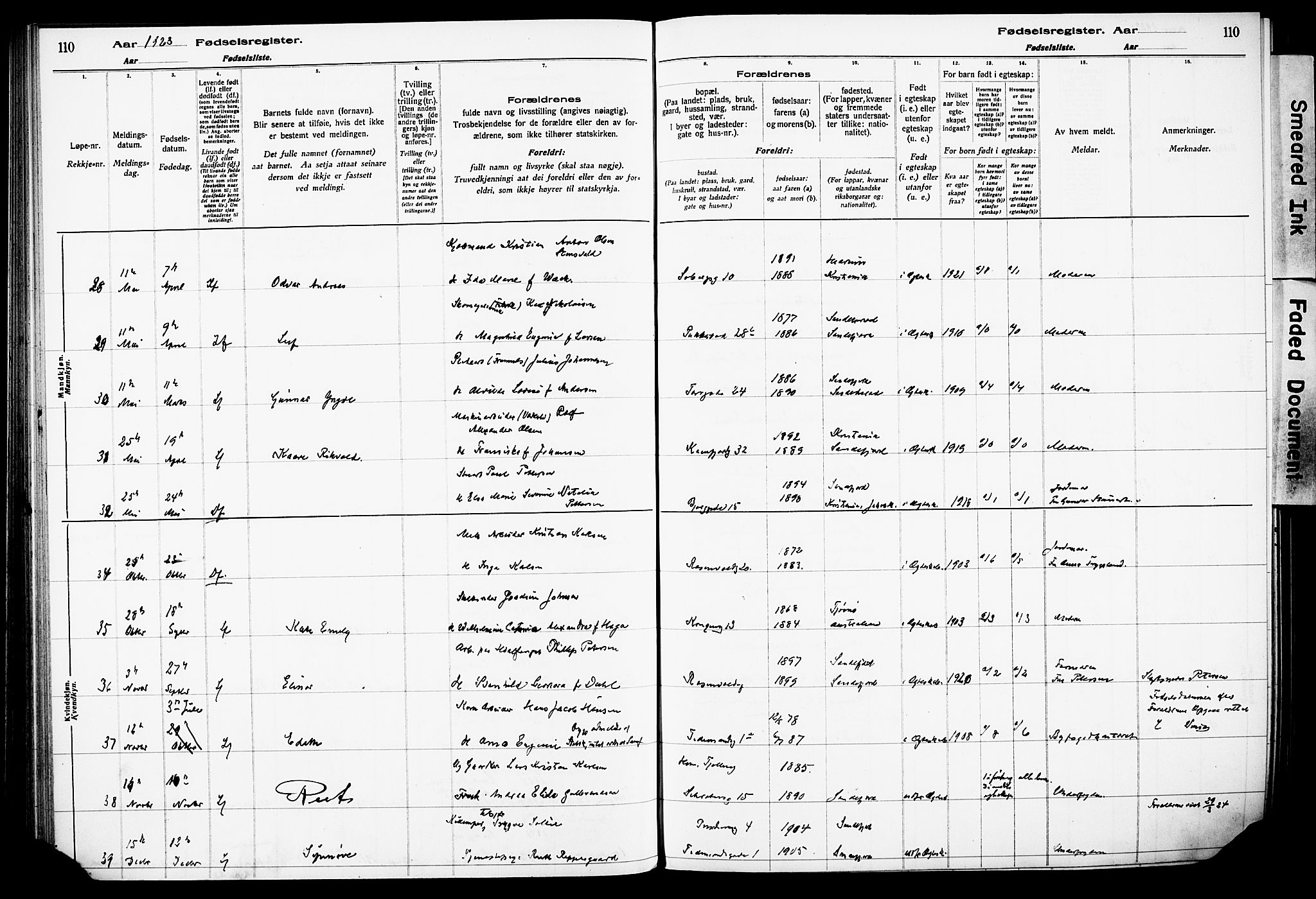 Sandefjord kirkebøker, AV/SAKO-A-315/J/Ja/L0001: Birth register no. 1, 1916-1932, p. 110