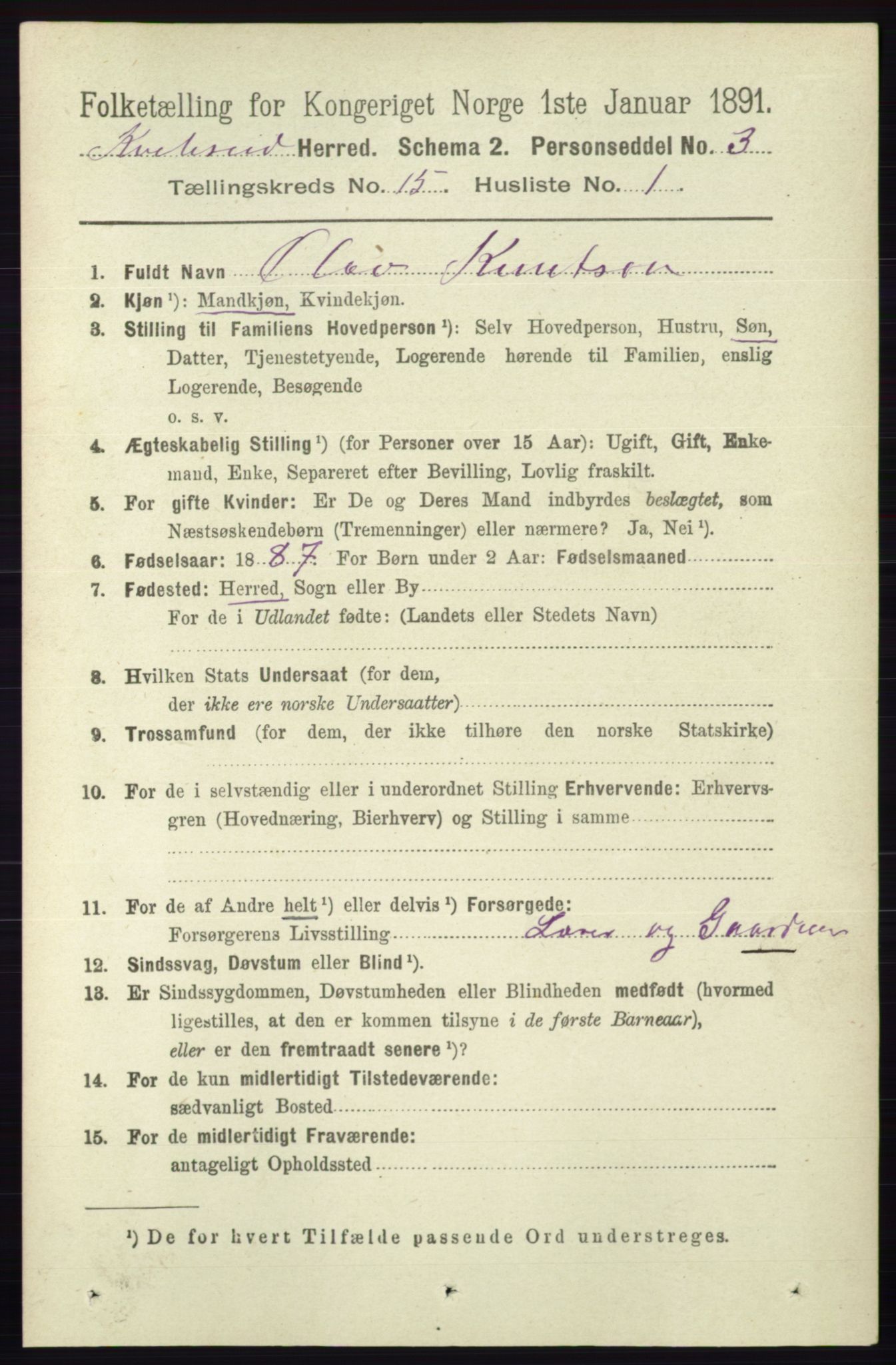 RA, 1891 census for 0829 Kviteseid, 1891, p. 3523