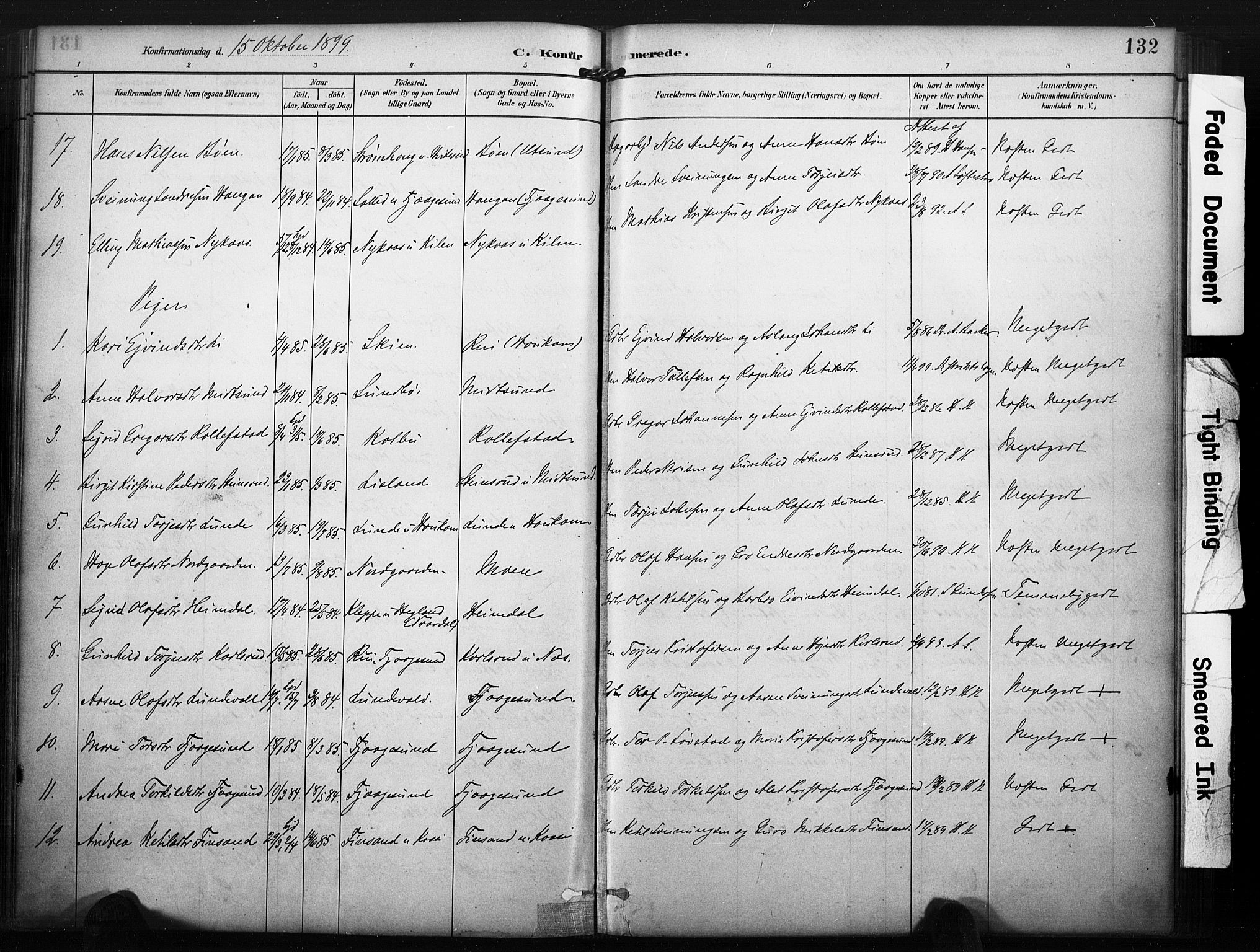 Kviteseid kirkebøker, SAKO/A-276/F/Fa/L0008: Parish register (official) no. I 8, 1882-1903, p. 132